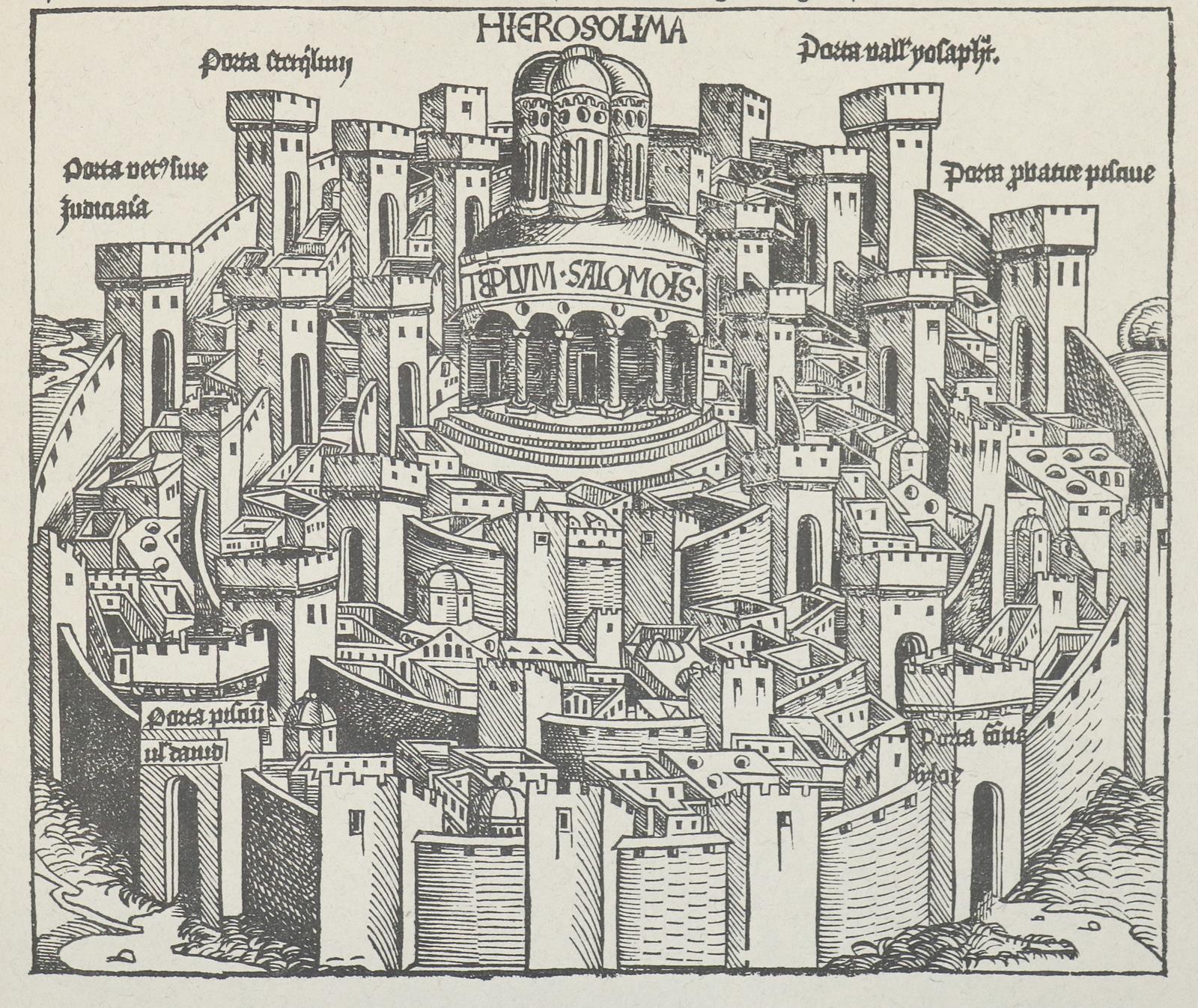 Schedel,H. | Bild Nr.1