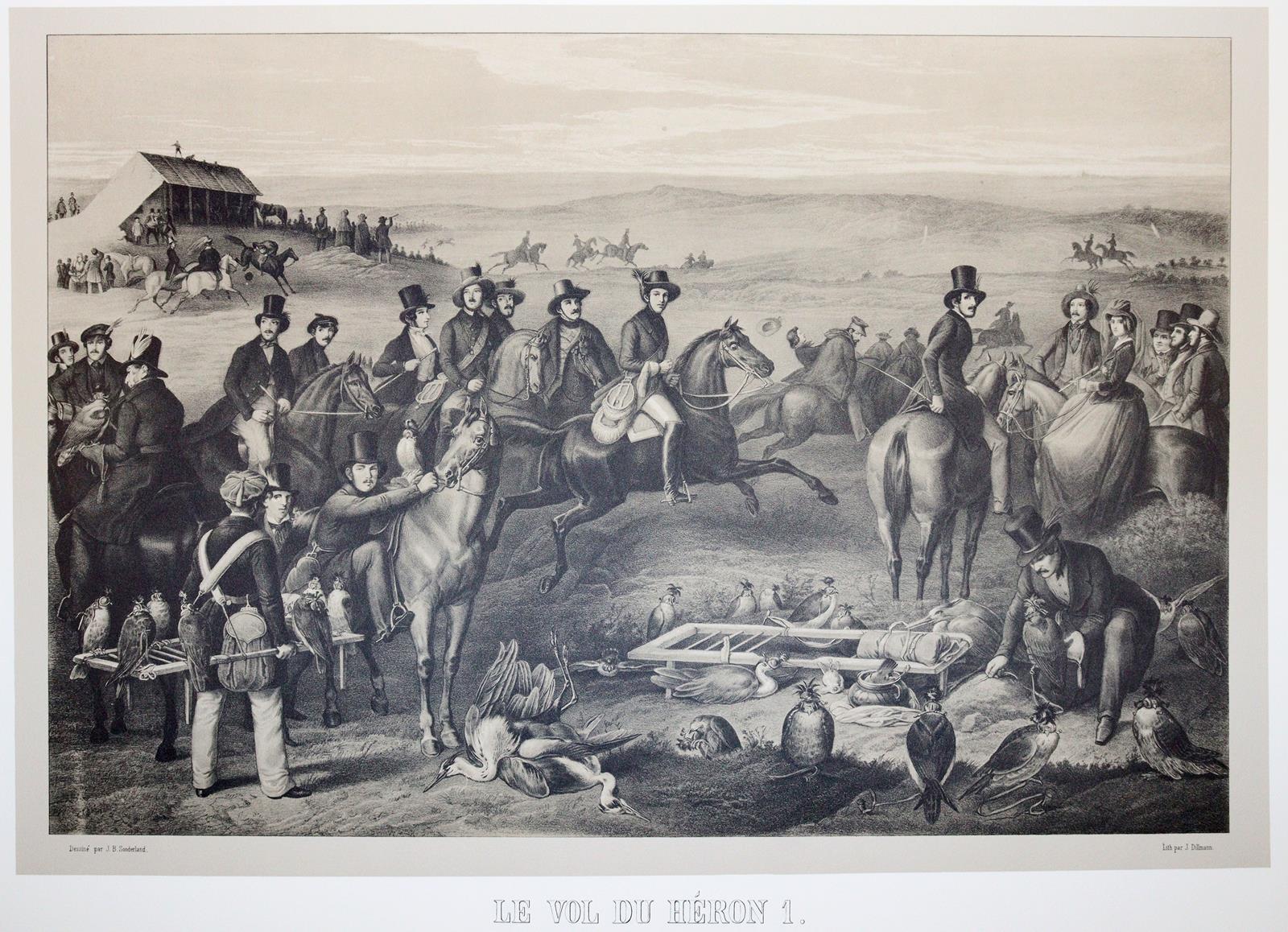 Schlegel,H. u. A.H.Verster de Wulverhorst. | Bild Nr.2