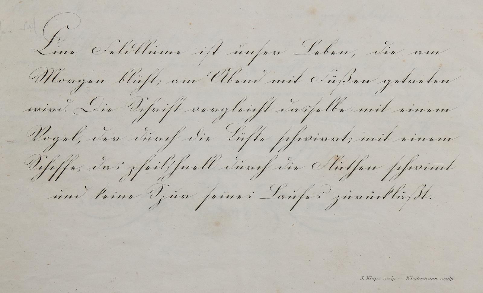 Klaps,J. | Bild Nr.2