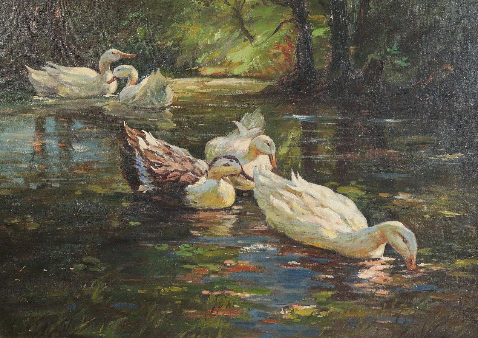 Fünf schwimmende Enten. | Bild Nr.1