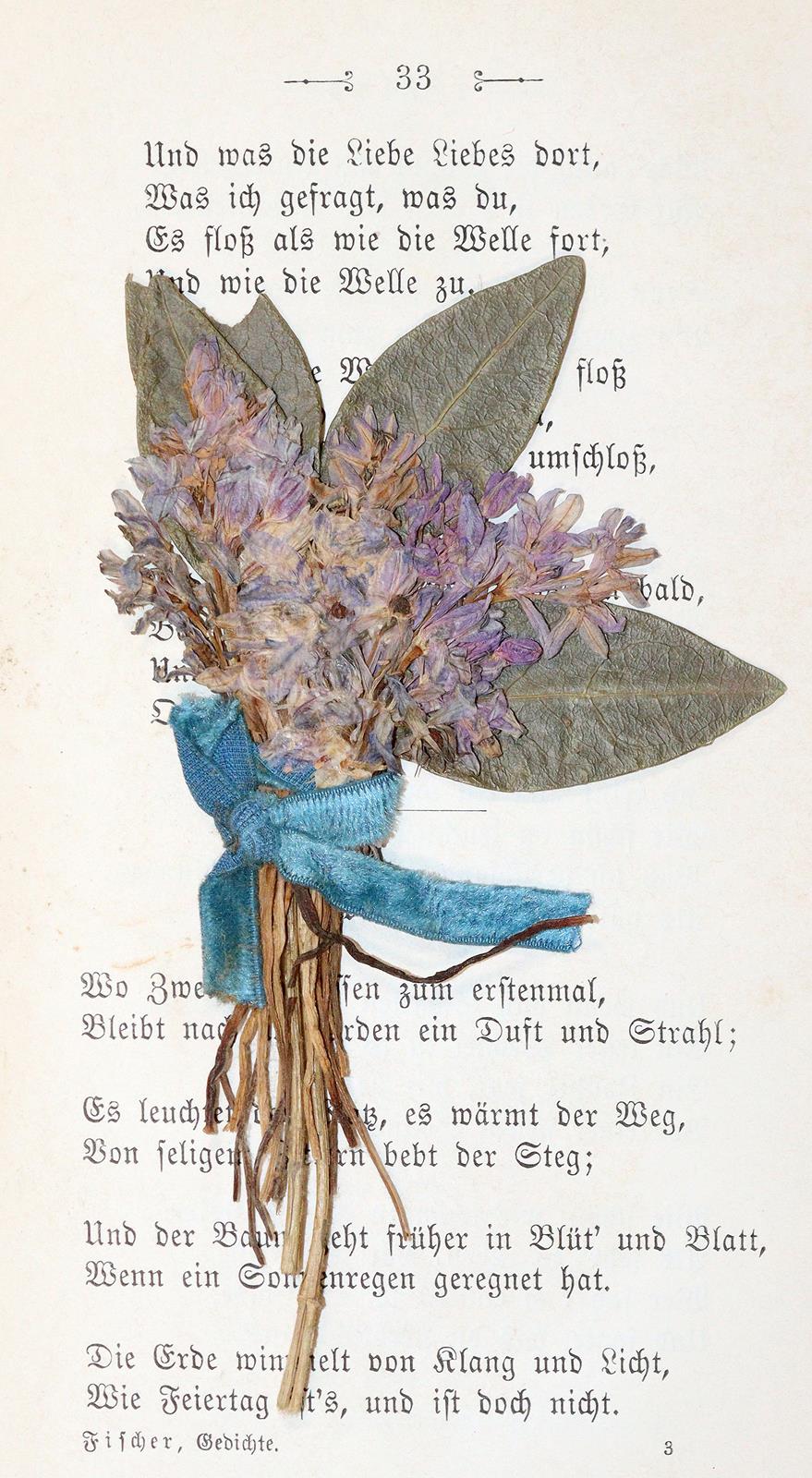 Fischer,J.G. | Bild Nr.2