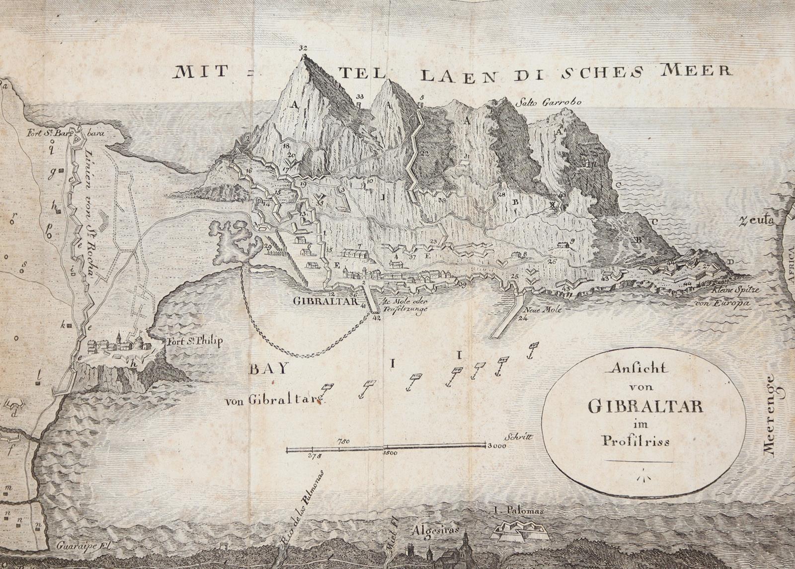 Neue Feuerbrände. | Bild Nr.2