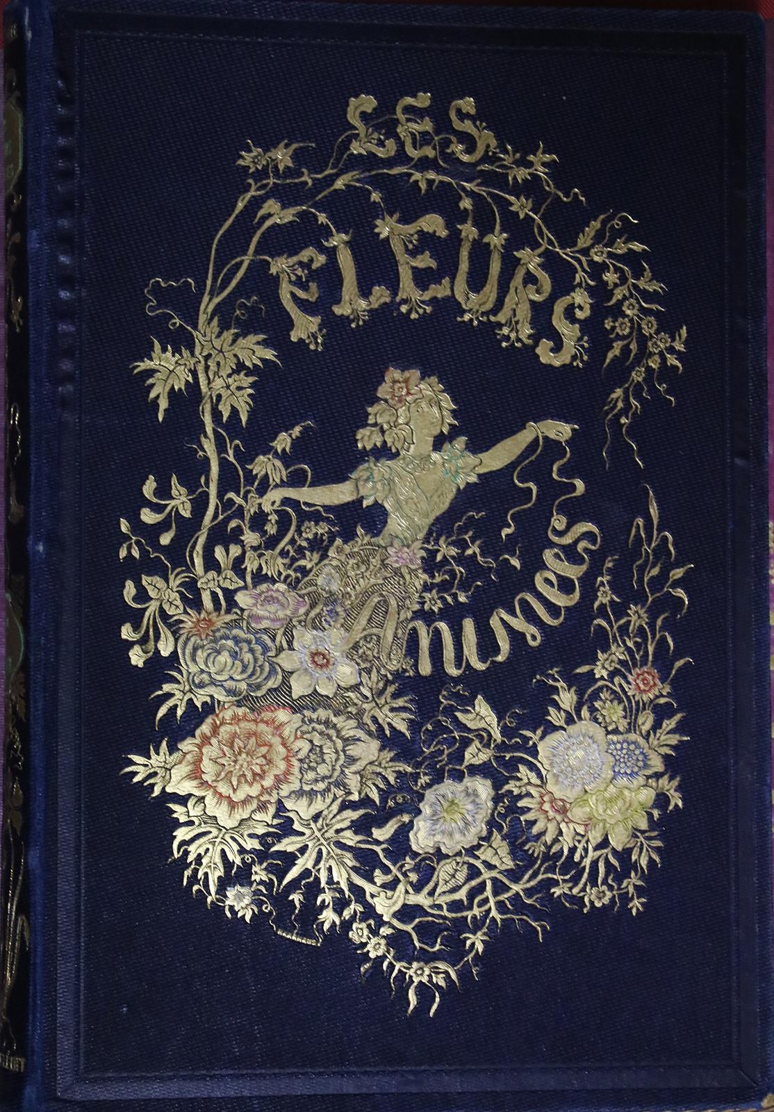 Sammlung | Bild Nr.4