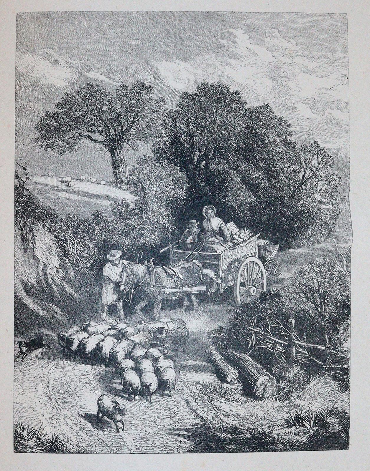 Foster,B. | Bild Nr.5