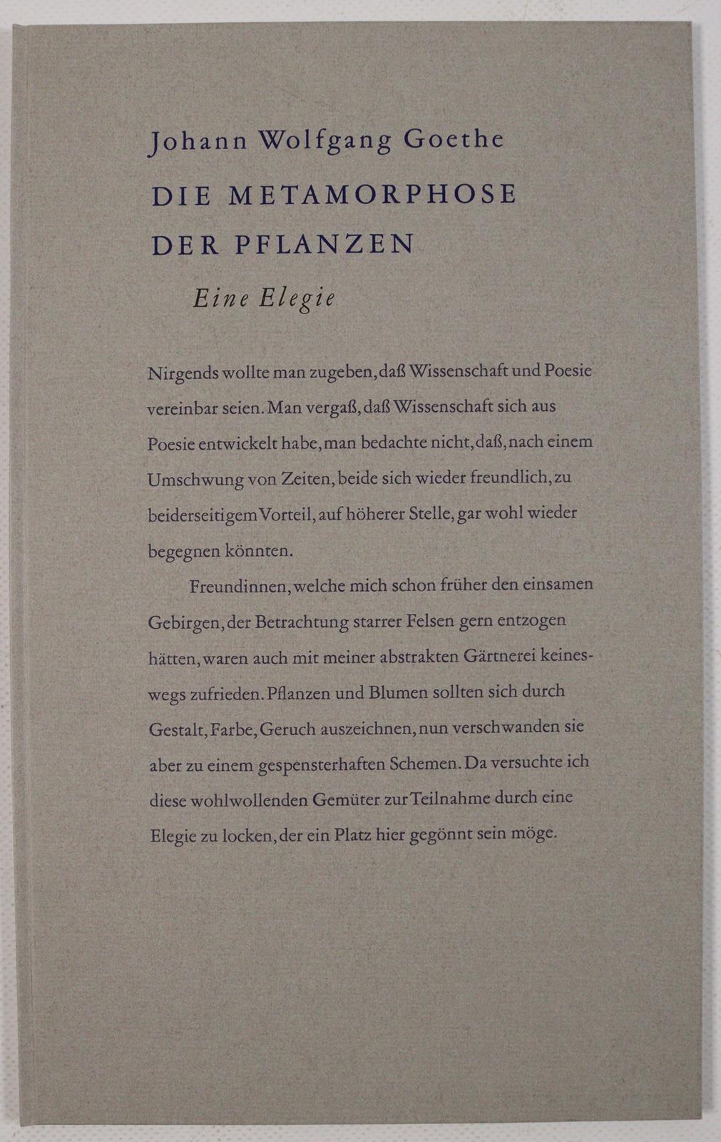 Goethe,J.W.v. | Bild Nr.5