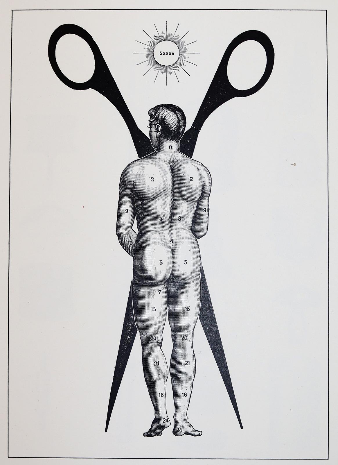 Hilsing,W. | Bild Nr.2