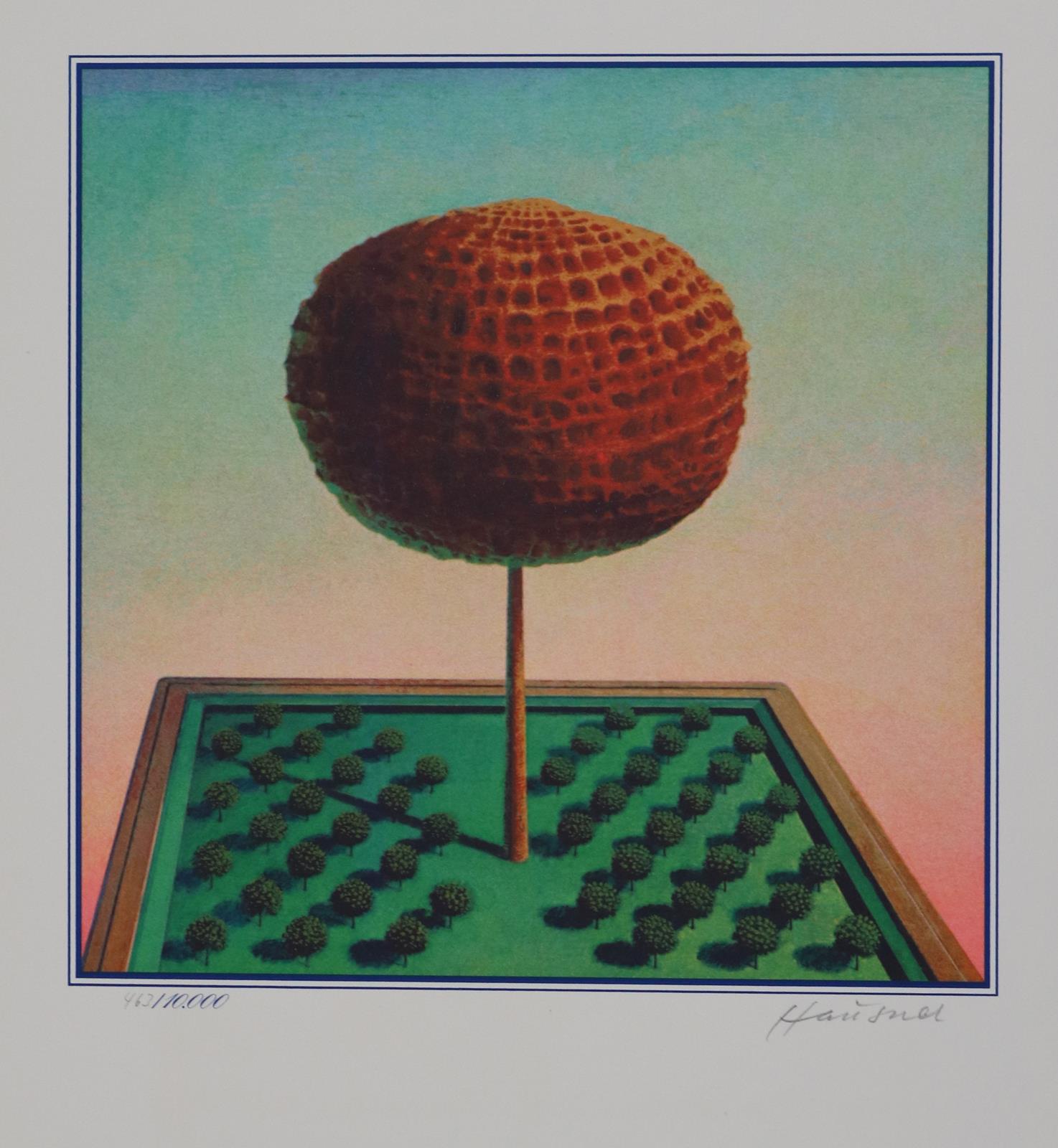 Huber,V. (Hrsg.) | Bild Nr.7