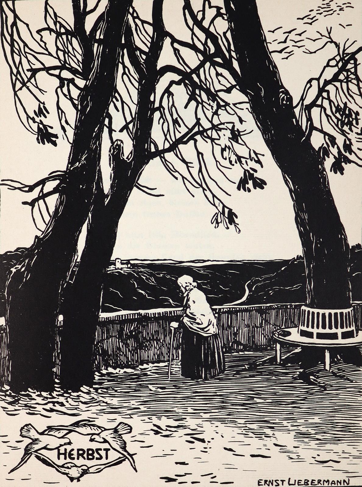 Holzamer,W. | Bild Nr.5