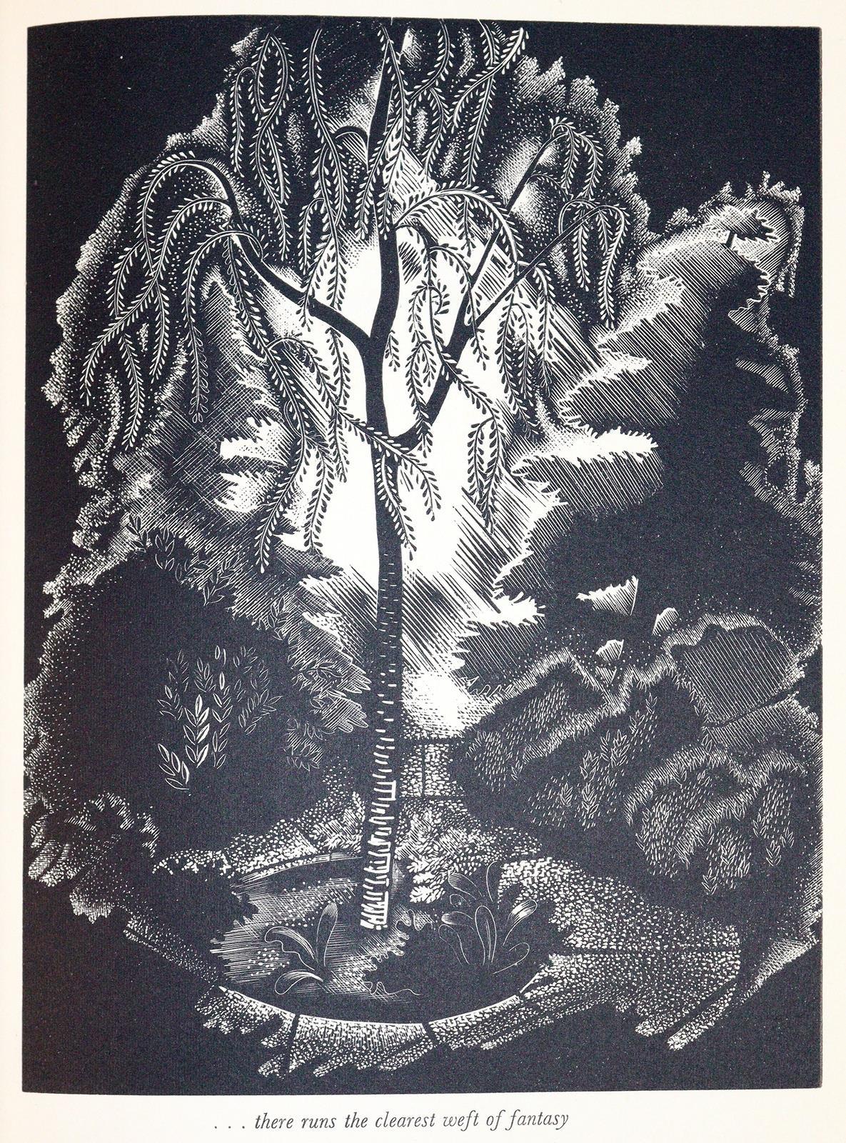 Scougall,S. u. F.Holford. | Bild Nr.3