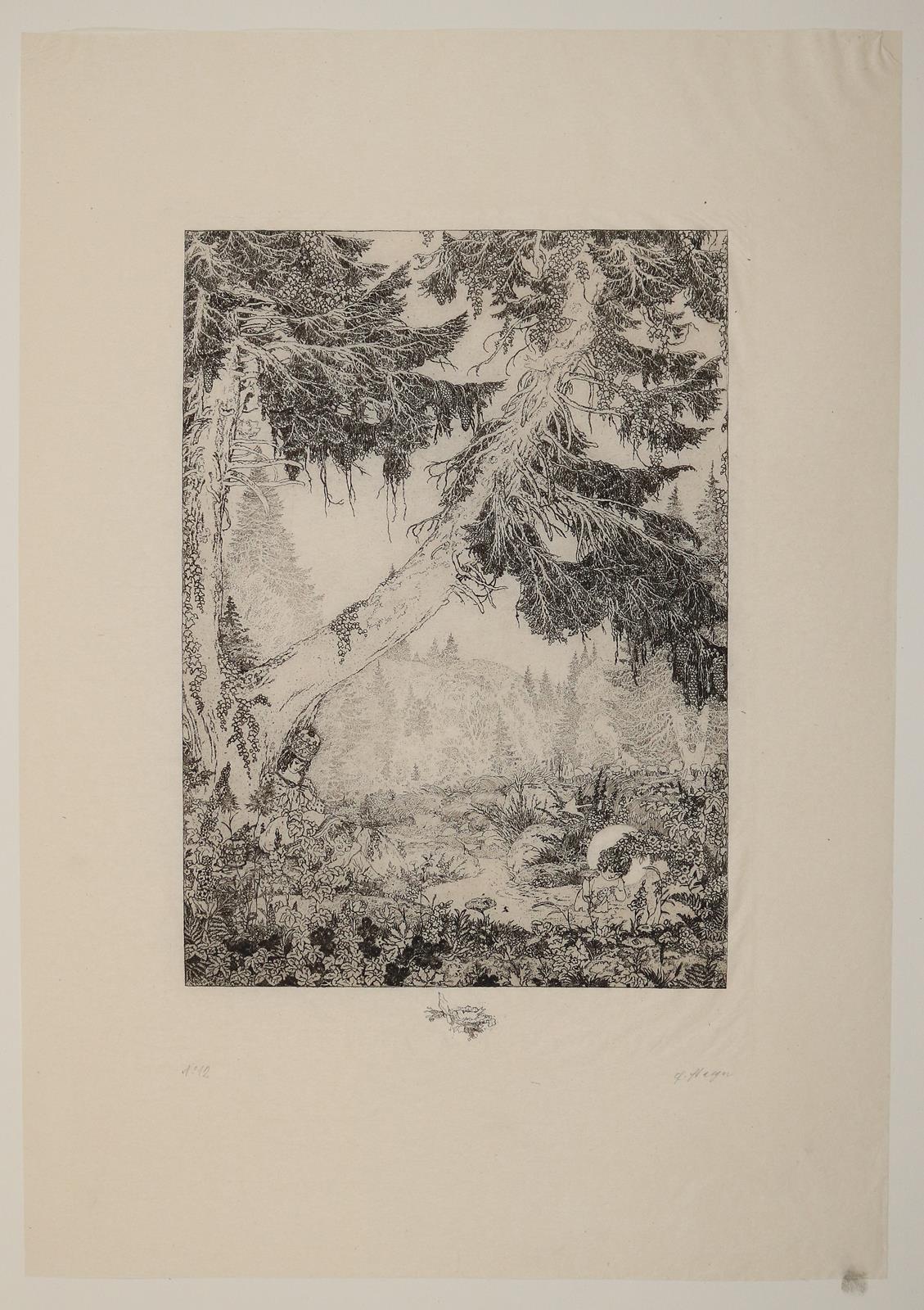 Staeger,F. | Bild Nr.4