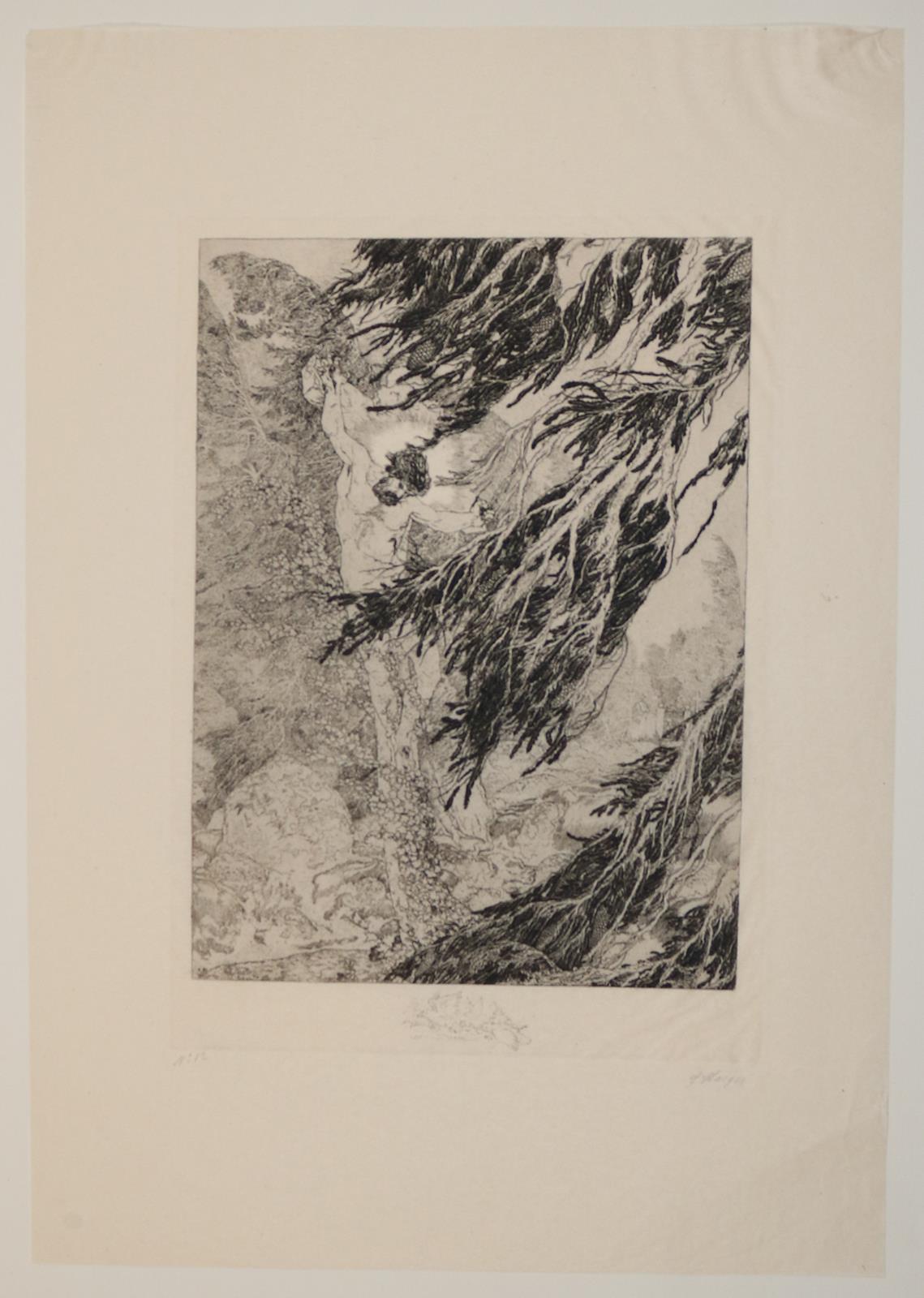 Staeger,F. | Bild Nr.6