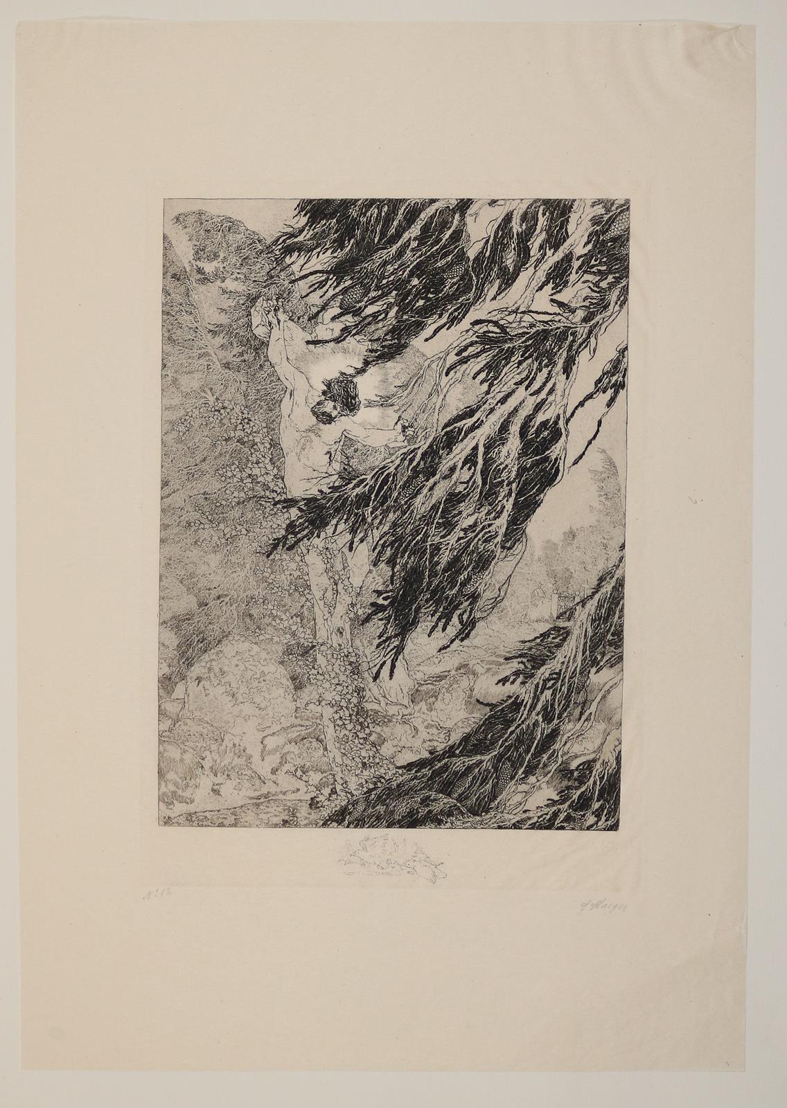 Staeger,F. | Bild Nr.7