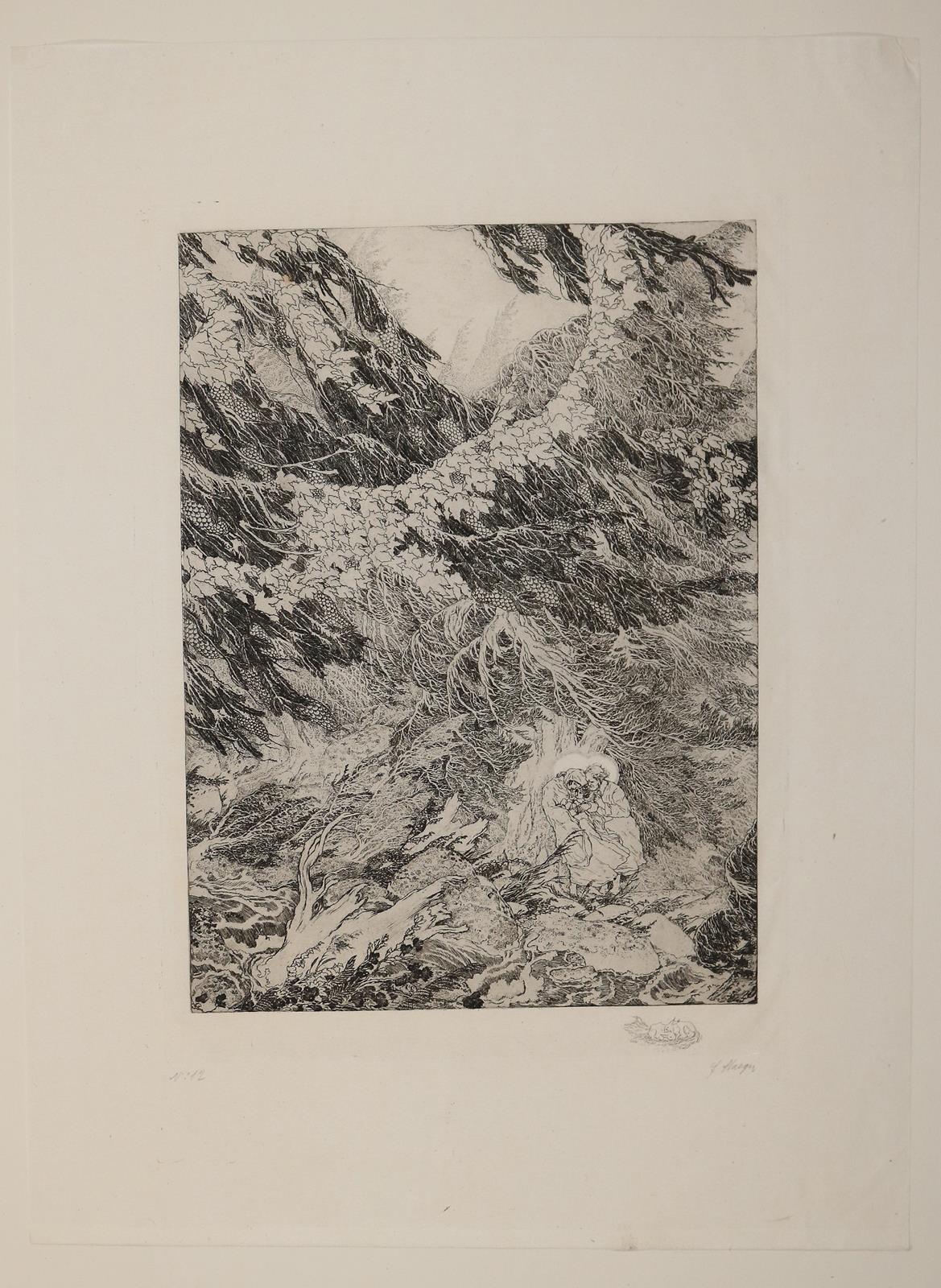 Staeger,F. | Bild Nr.9