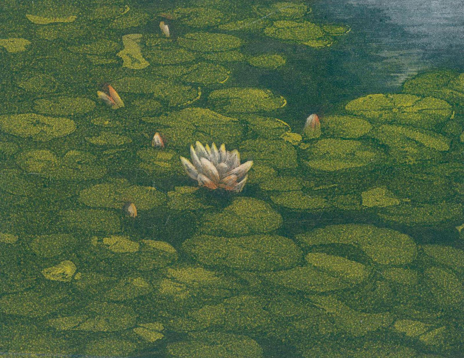 Suff, David | Bild Nr.1