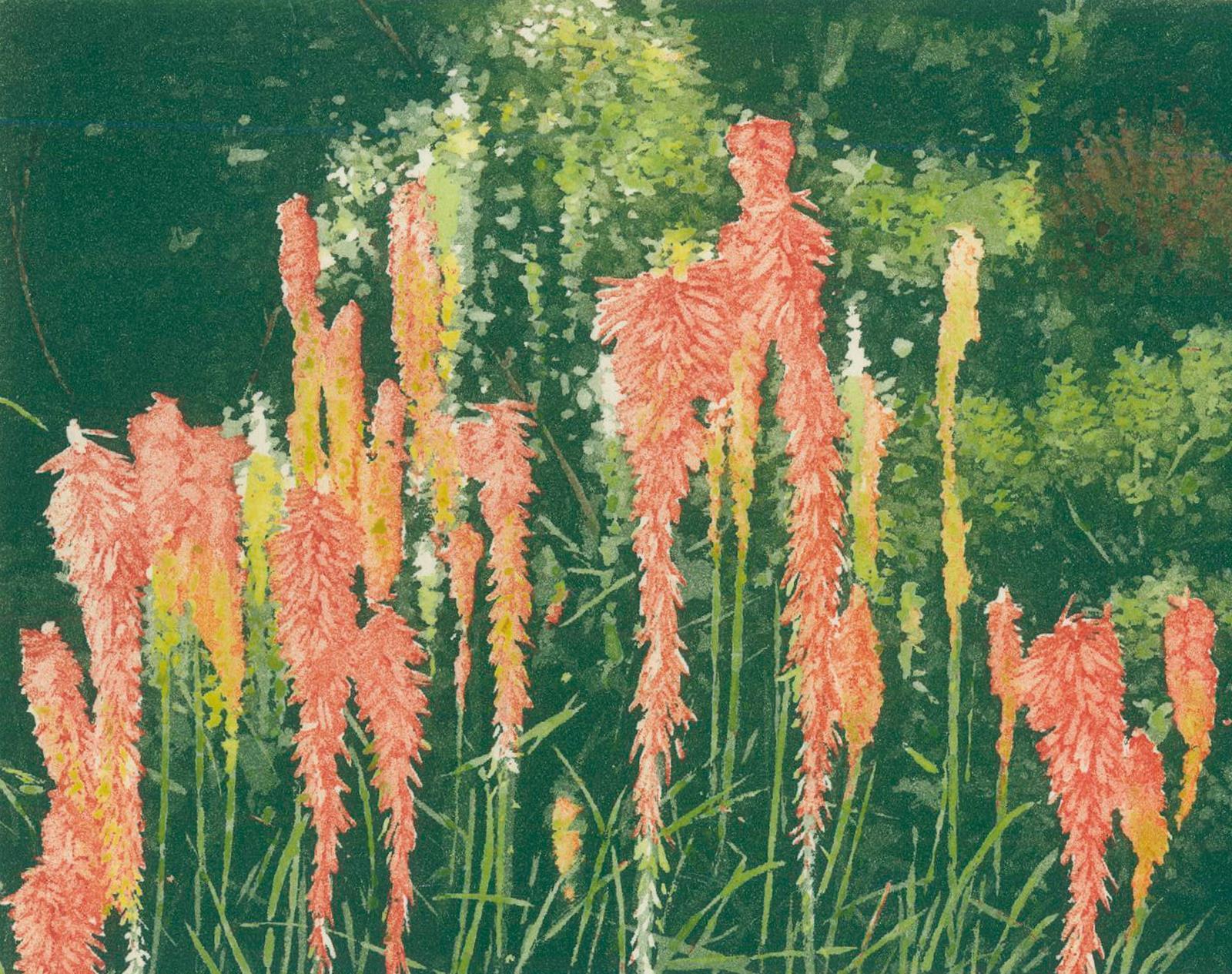 Suff, David | Bild Nr.2