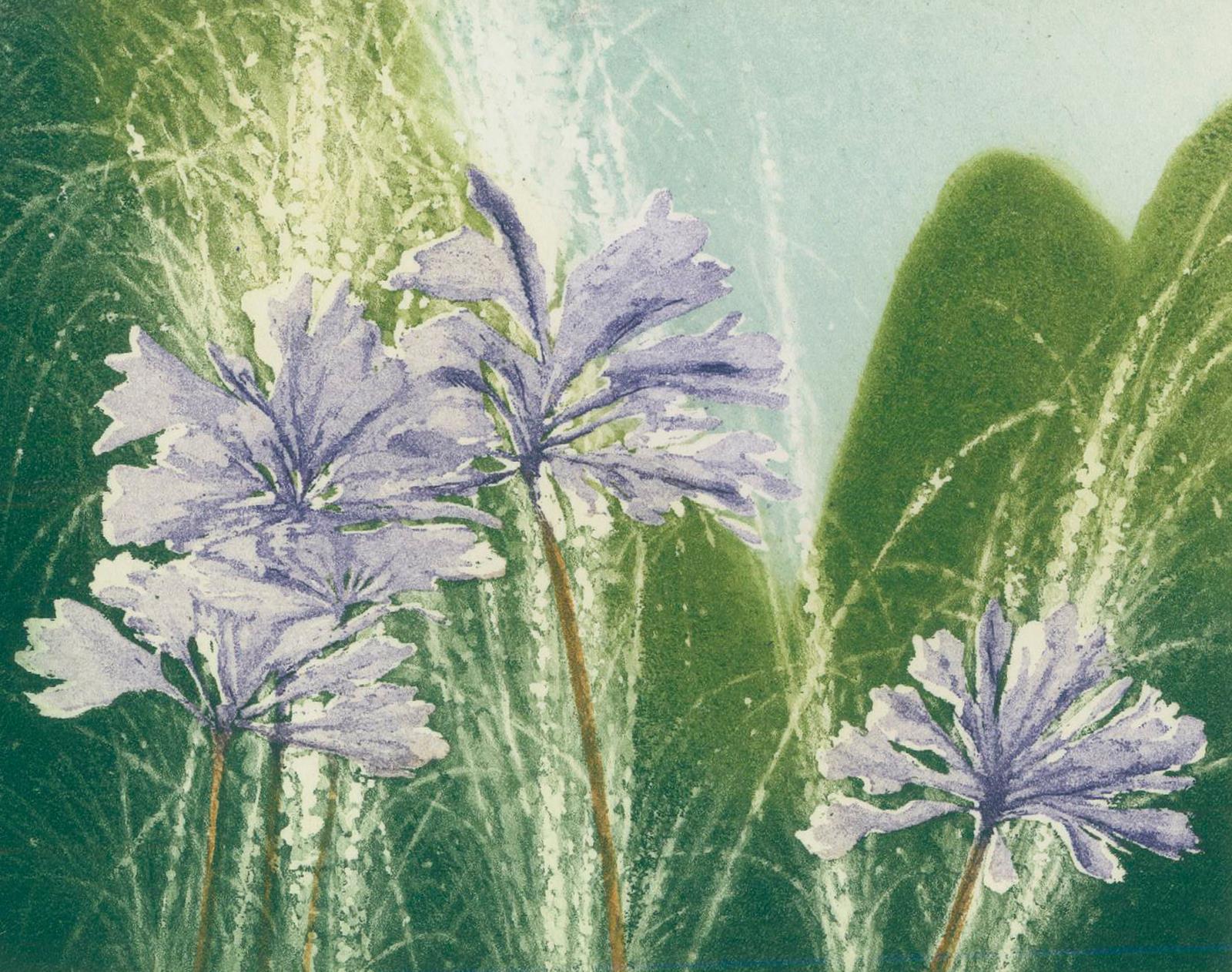 Suff, David | Bild Nr.3