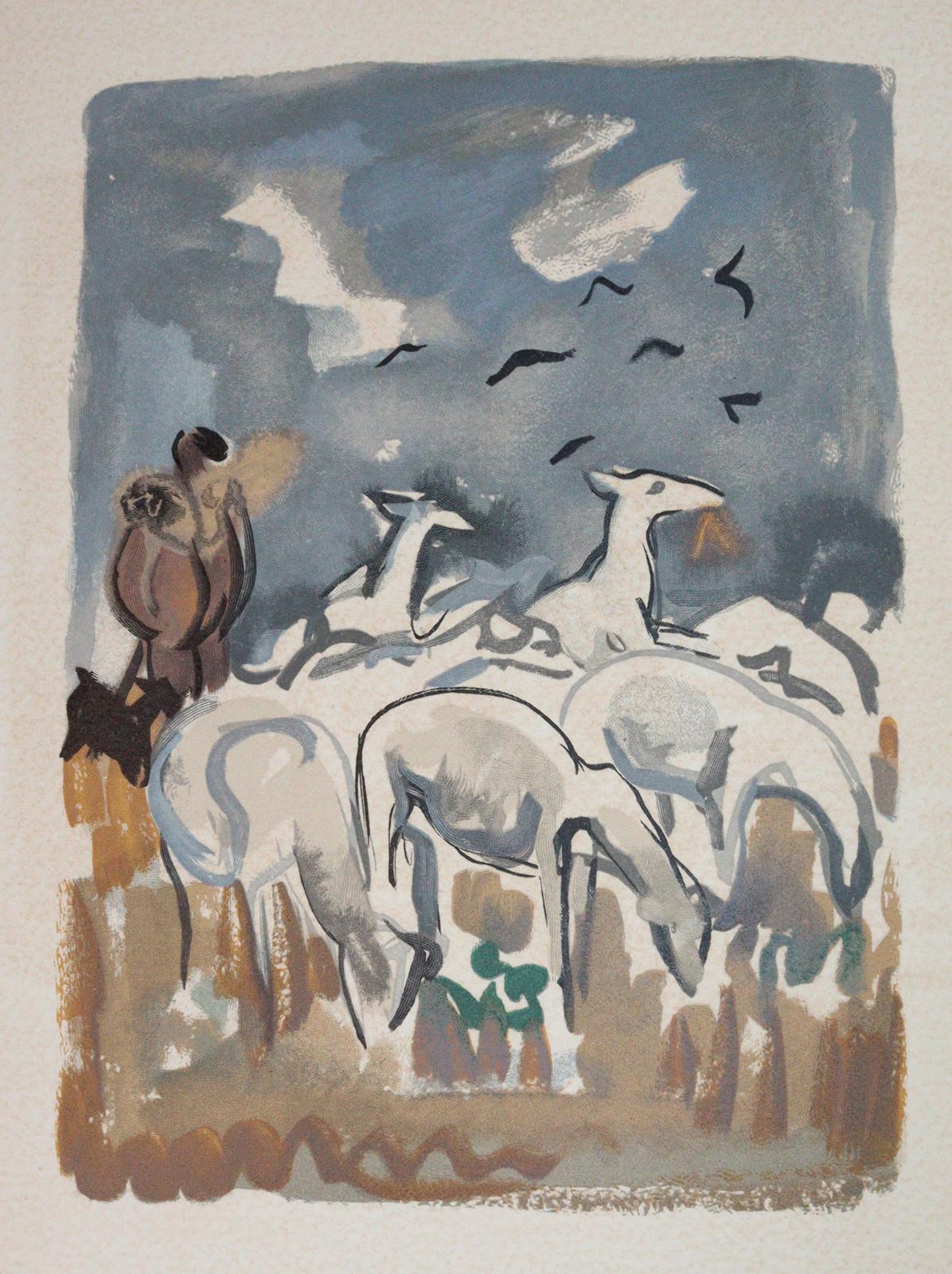 Uzanne,O. | Bild Nr.11