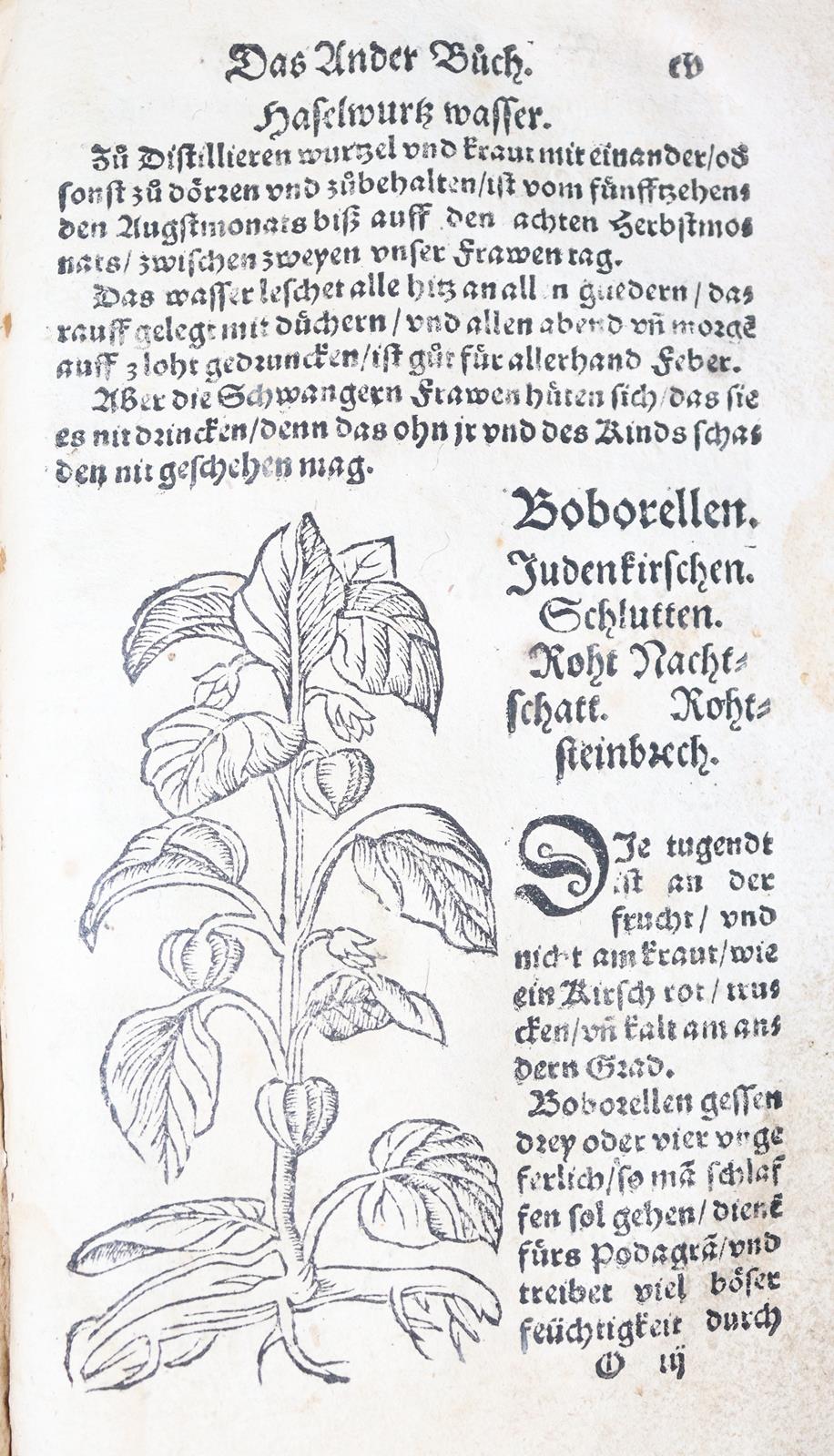 Ryff,W.H. (Pseud. Q.Apollinaris). | Bild Nr.9