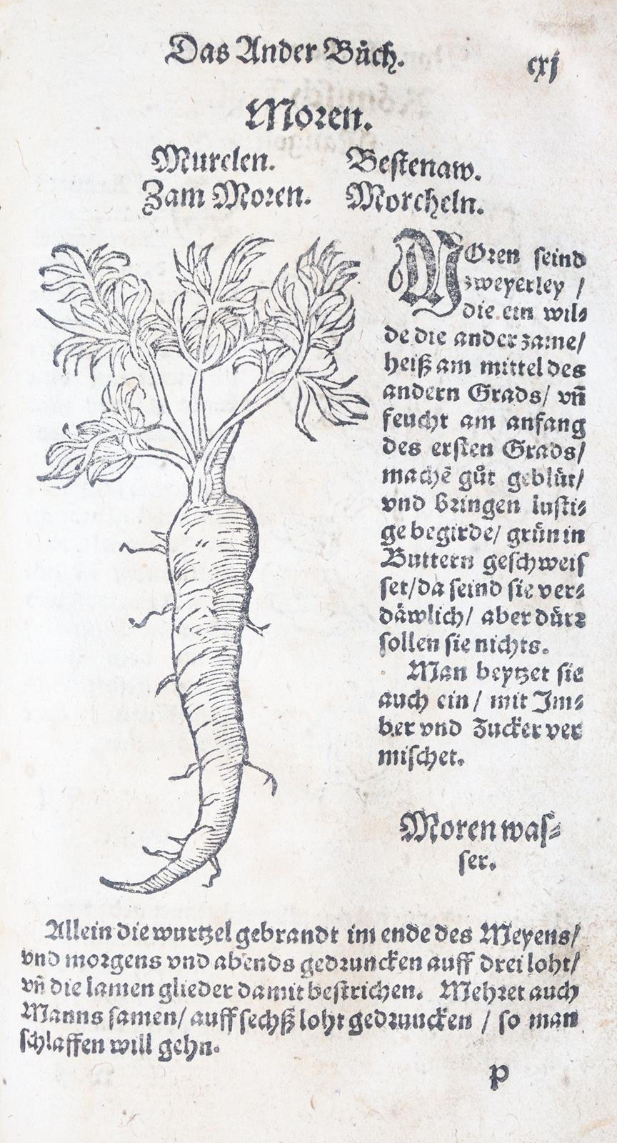 Ryff,W.H. (Pseud. Q.Apollinaris). | Bild Nr.10