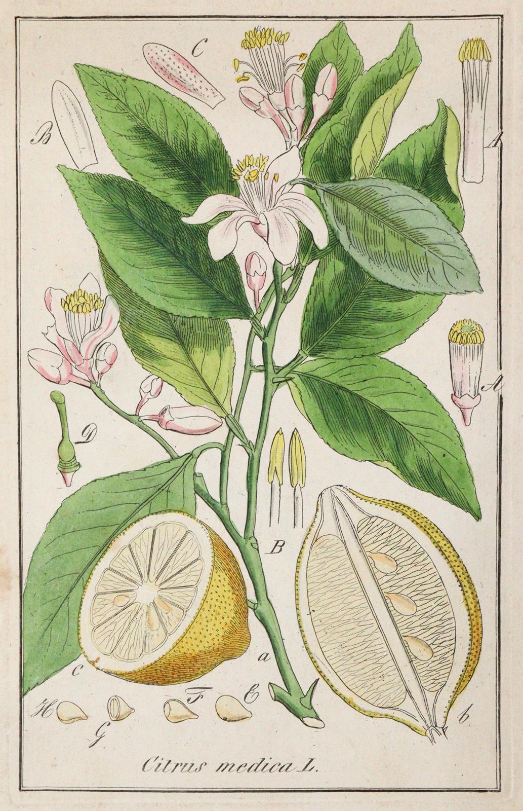 Winkler,E. | Bild Nr.1