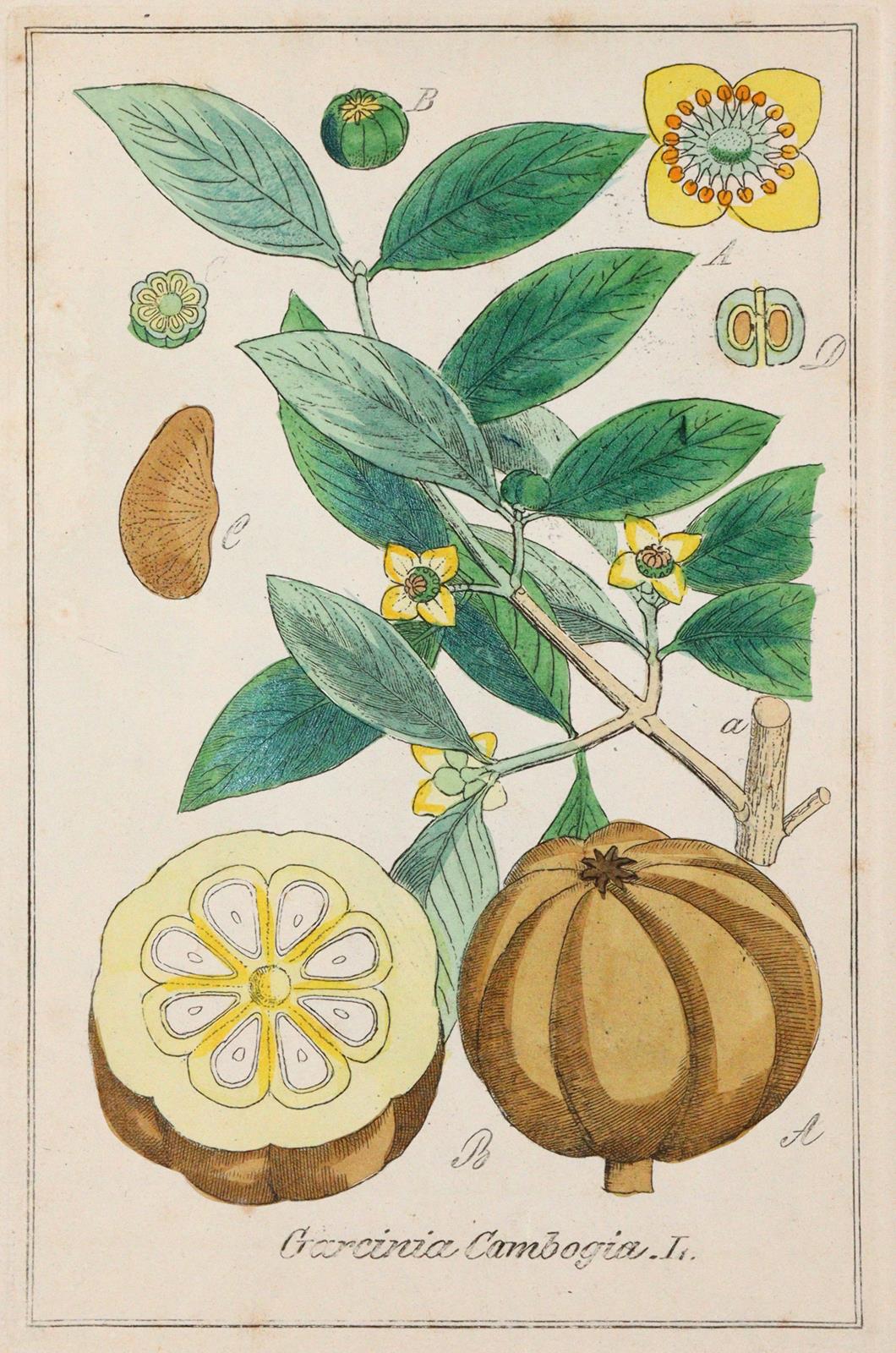 Winkler,E. | Bild Nr.2