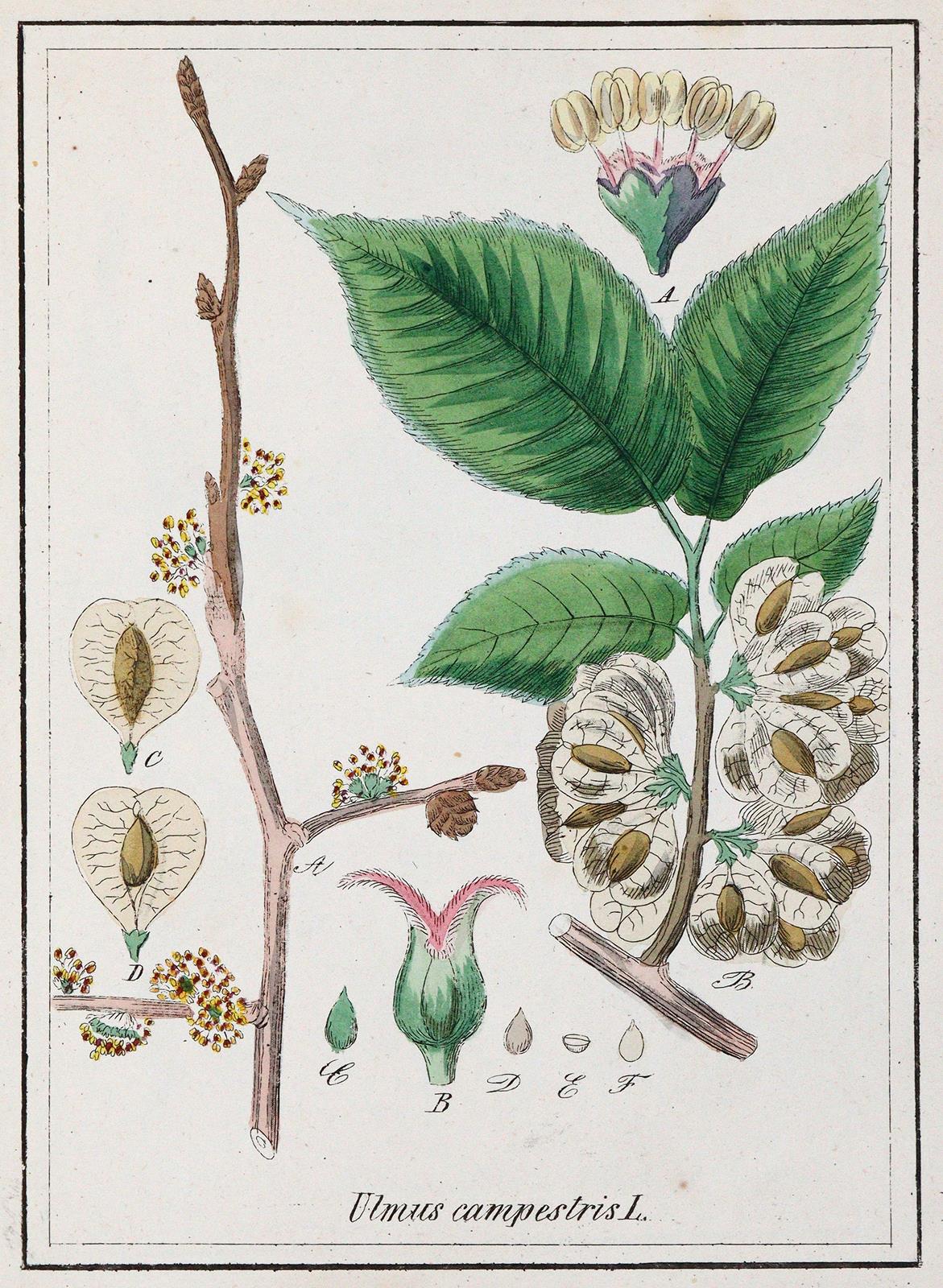 Winkler,E. | Bild Nr.3