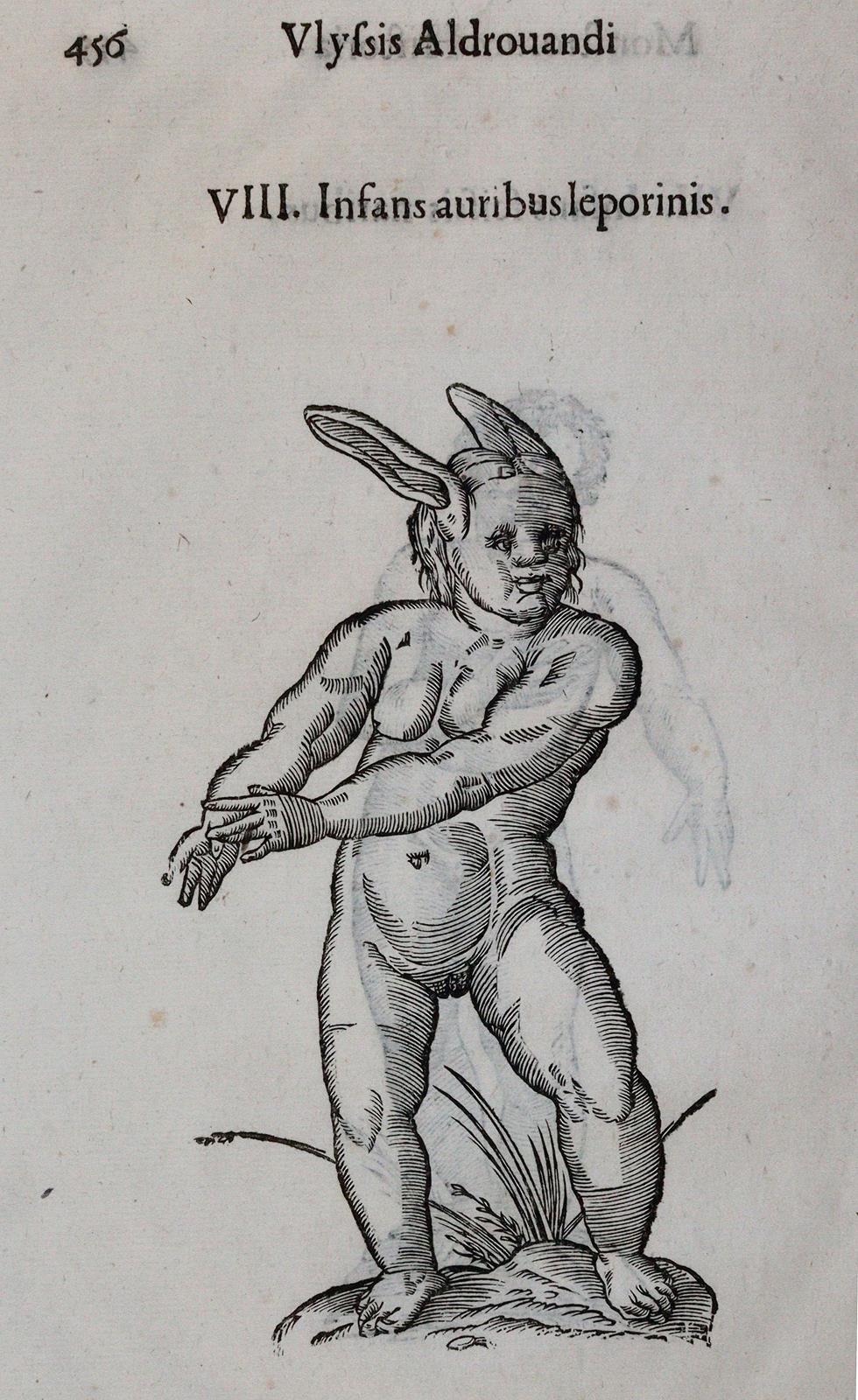 Aldrovandi,U. | Bild Nr.1