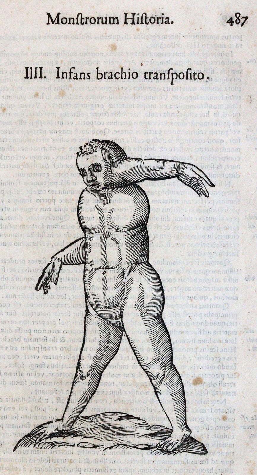 Aldrovandi,U. | Bild Nr.2