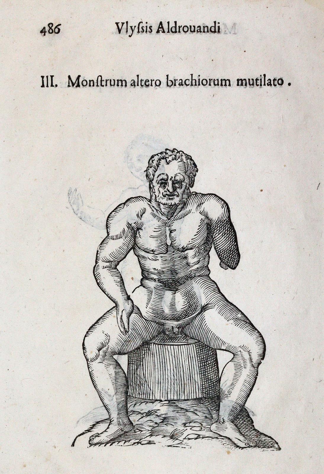 Aldrovandi,U. | Bild Nr.4