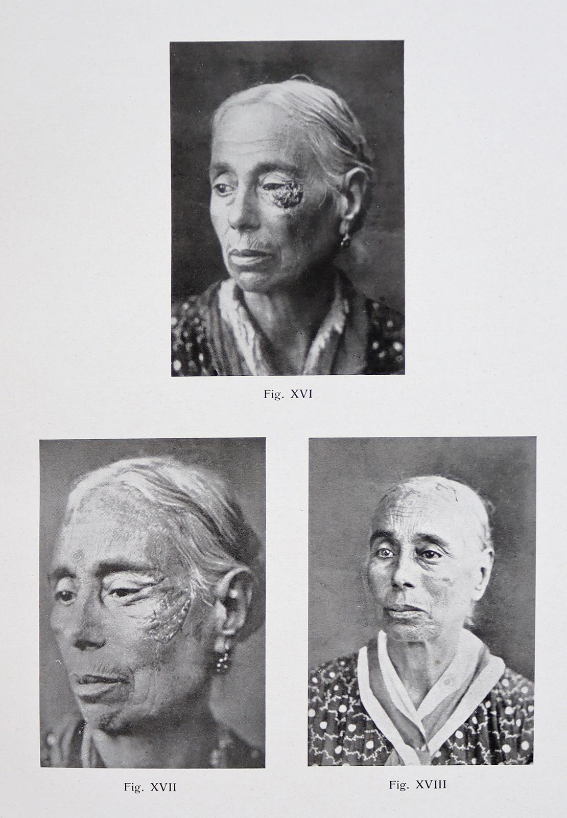 Vincentiis,C.de. | Bild Nr.5