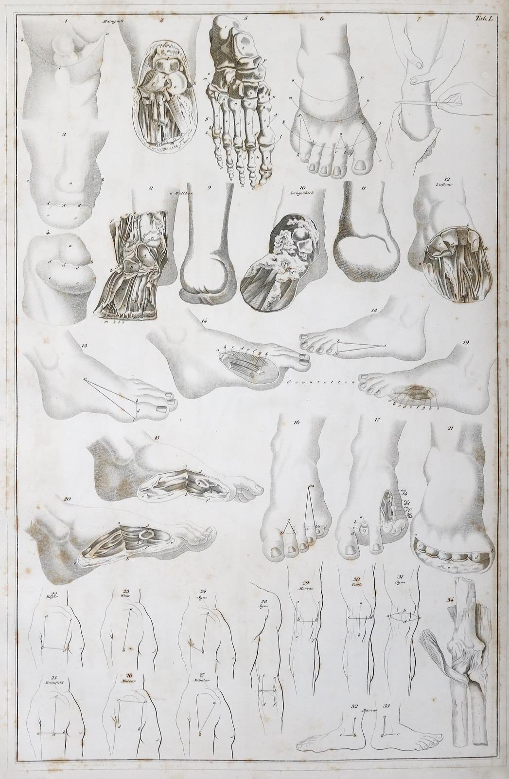 Blasius,E. | Bild Nr.6