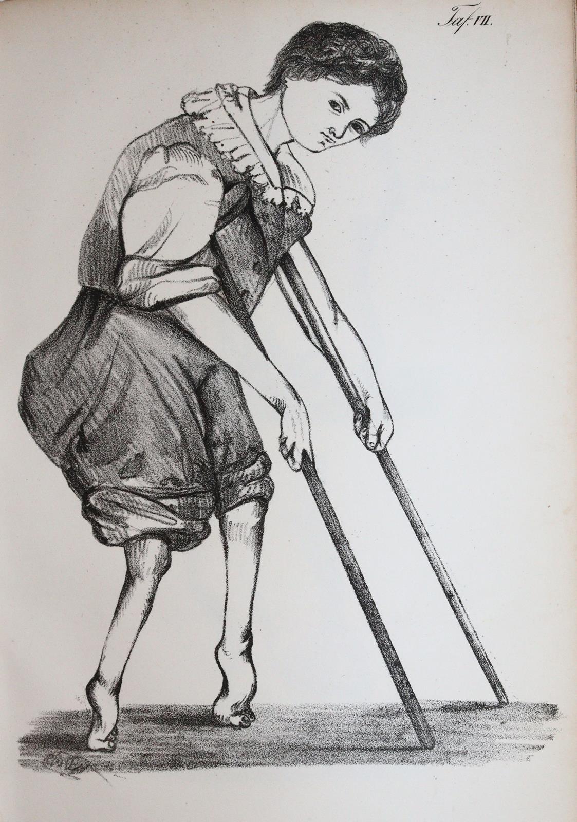 Dieffenbach,J.F. | Bild Nr.5