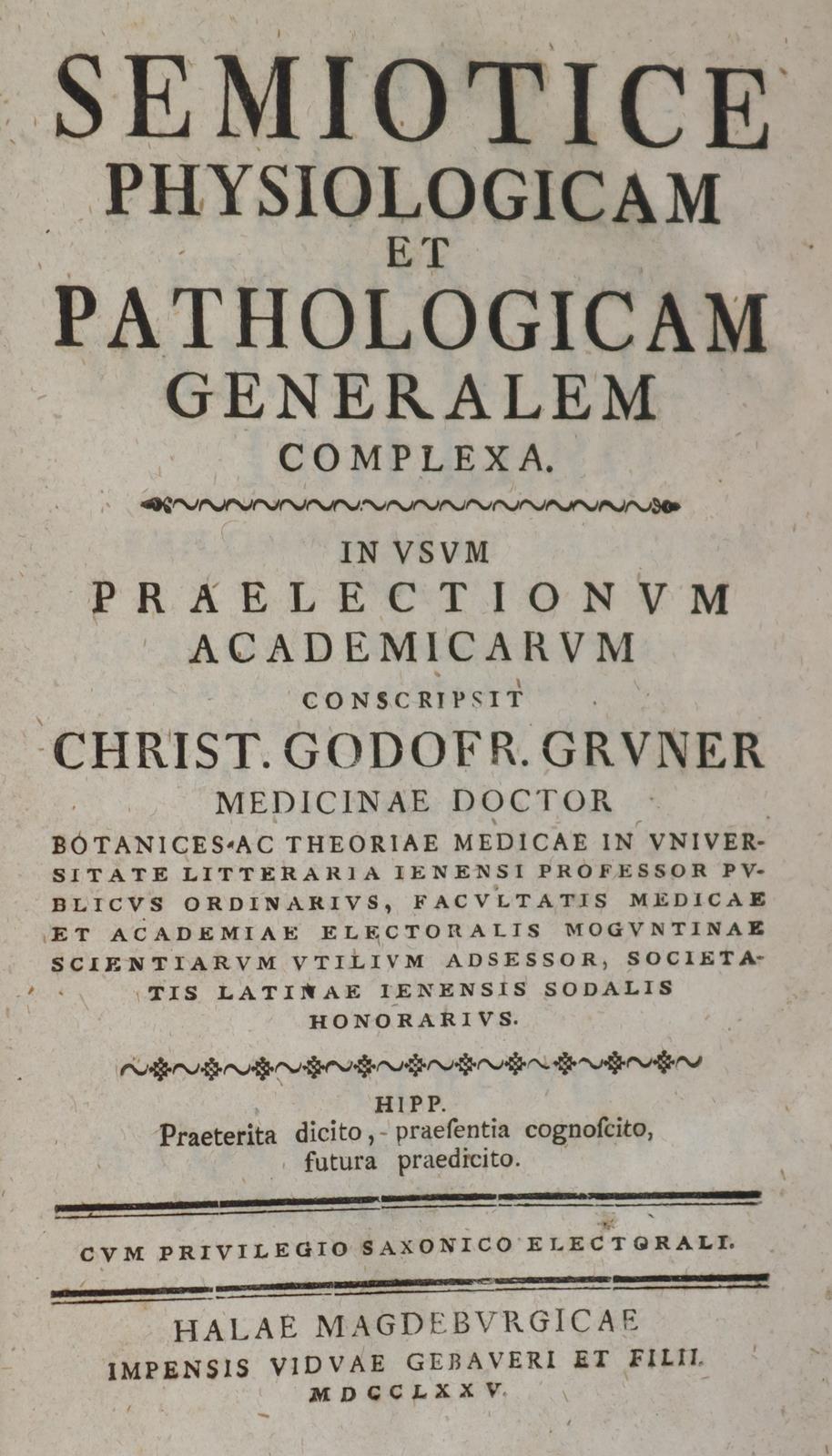 Hoffmann,A. | Bild Nr.2