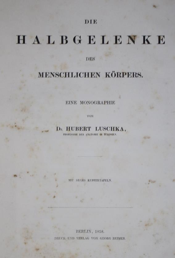 Luschka,H. | Bild Nr.1