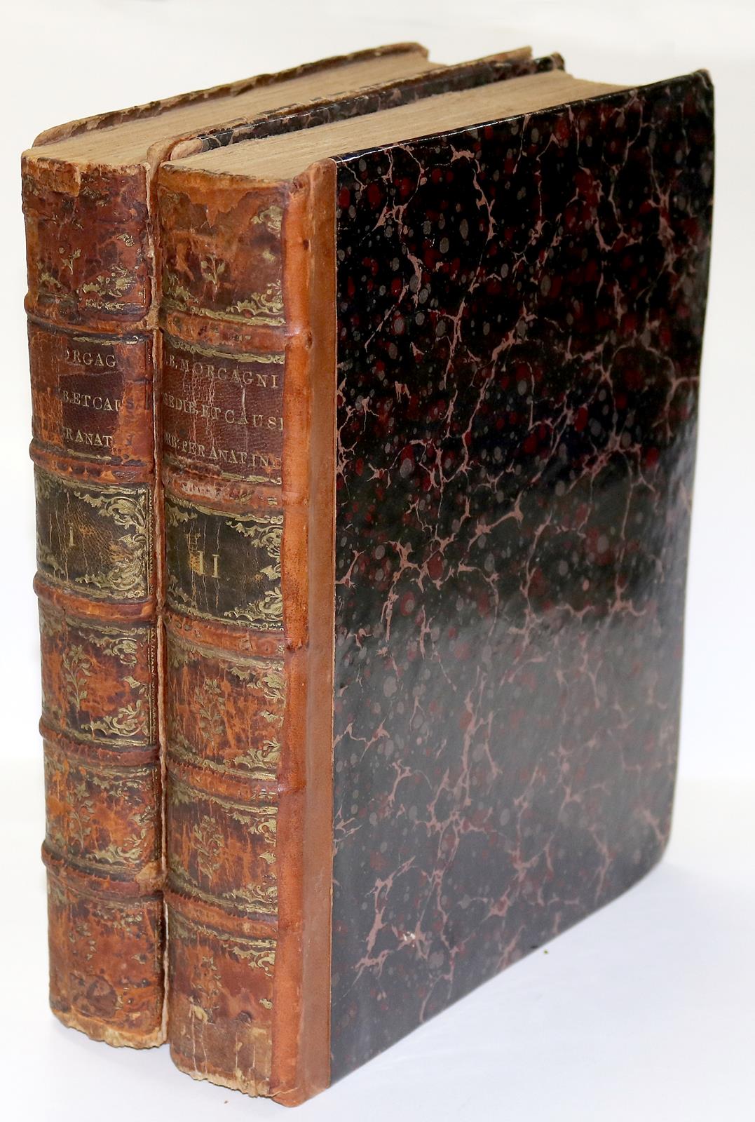 Morgagni,G.B. | Bild Nr.2