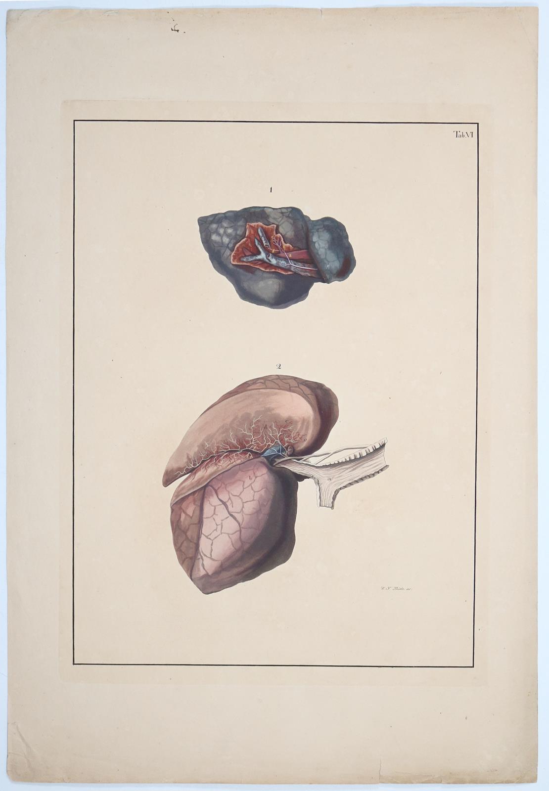 Reisseisen,F.D. | Bild Nr.3