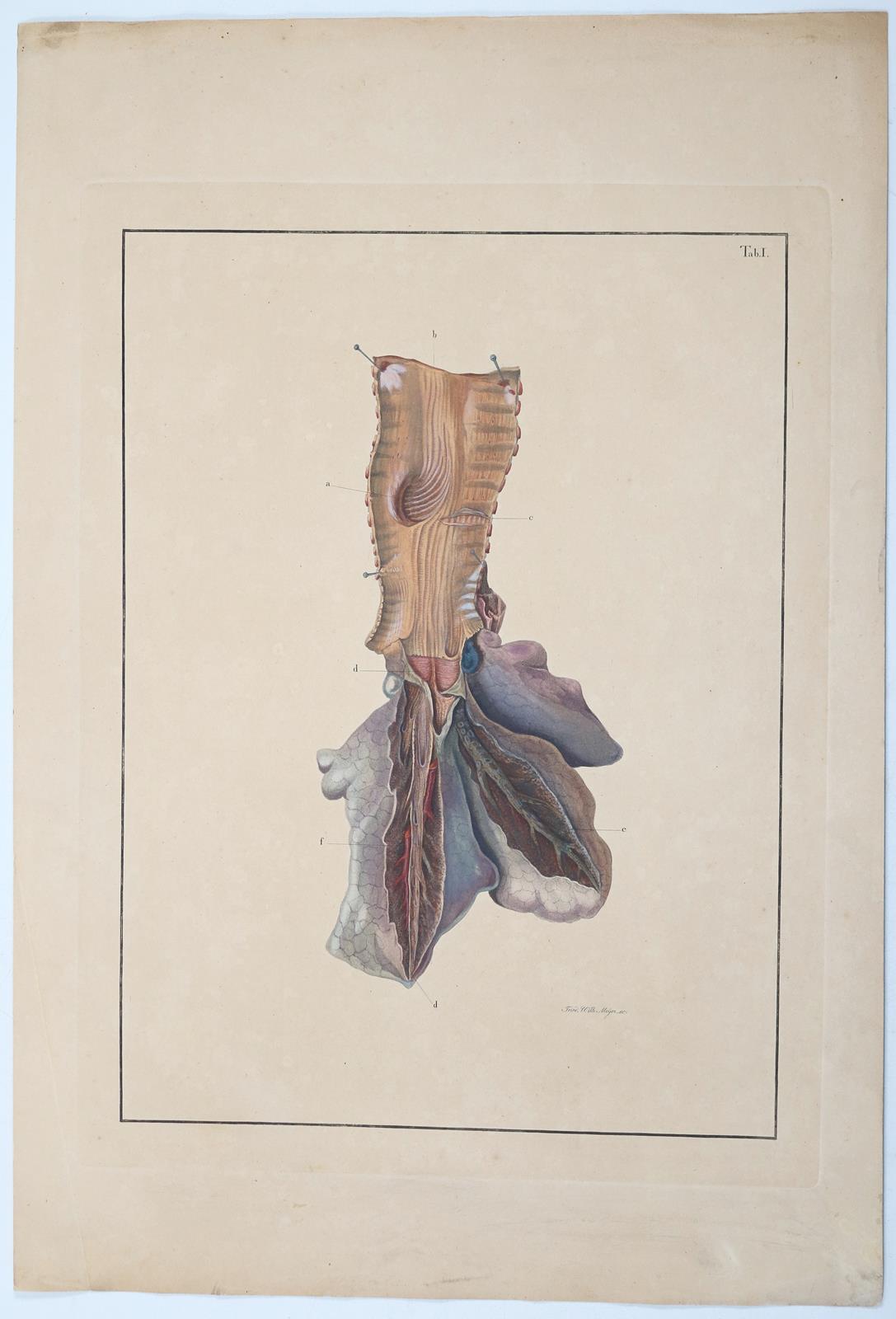 Reisseisen,F.D. | Bild Nr.4