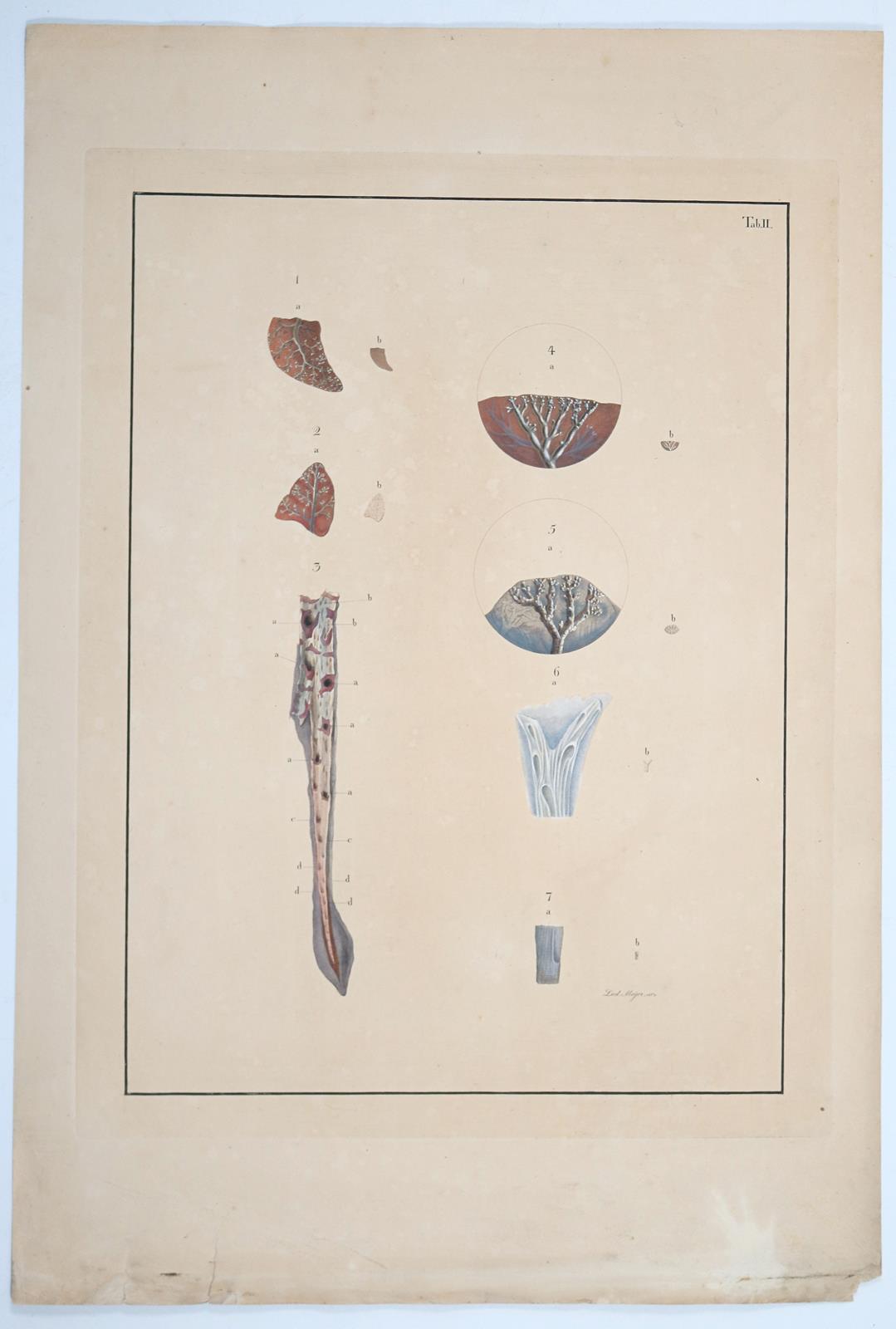 Reisseisen,F.D. | Bild Nr.5