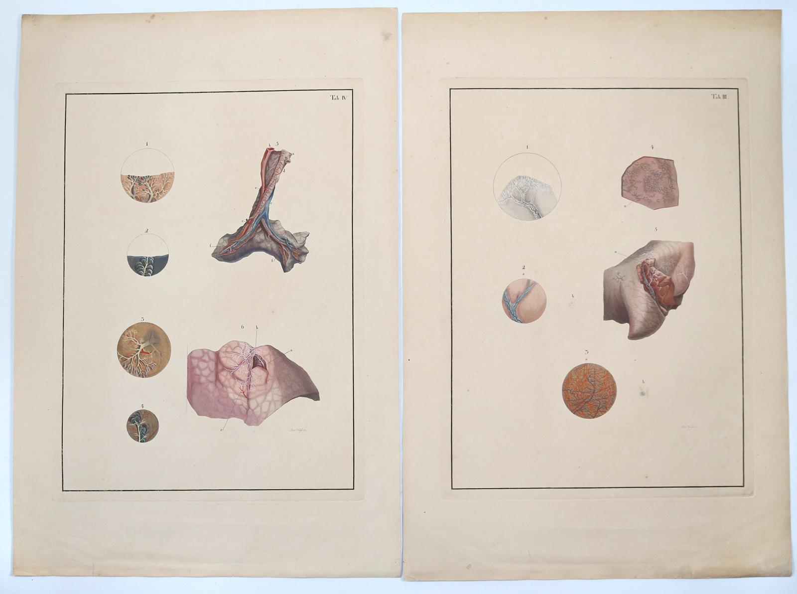 Reisseisen,F.D. | Bild Nr.6