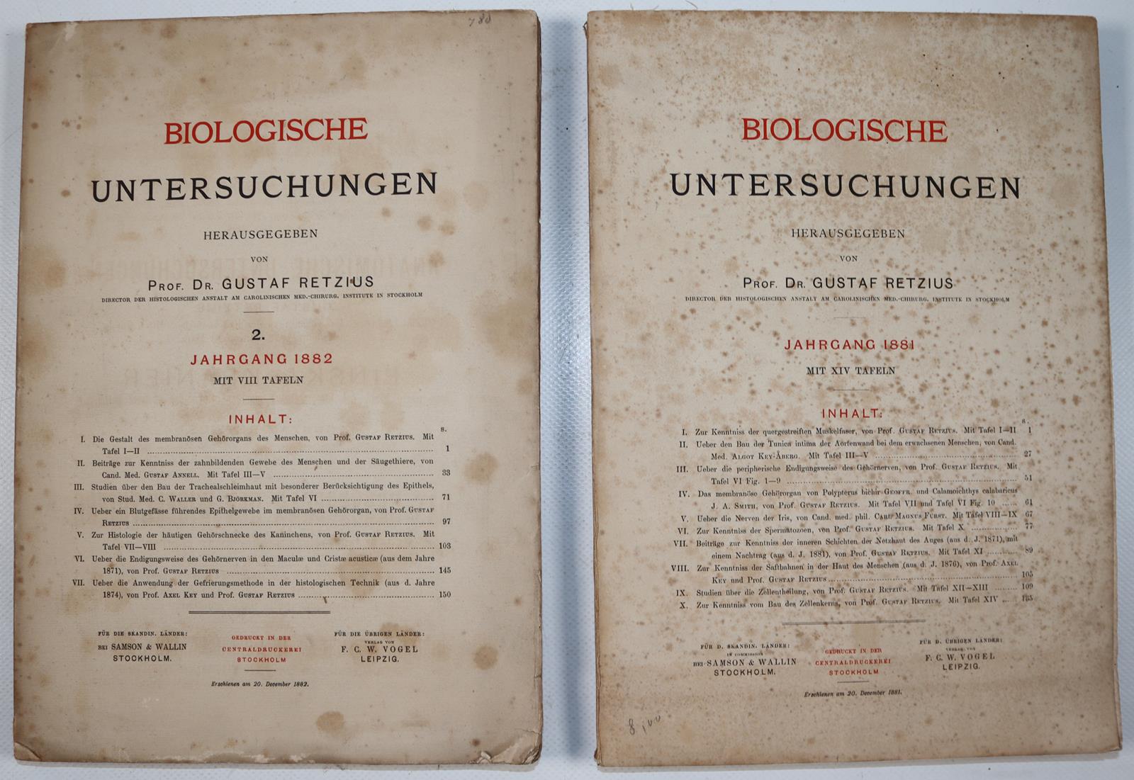 Retzius,G. | Bild Nr.5