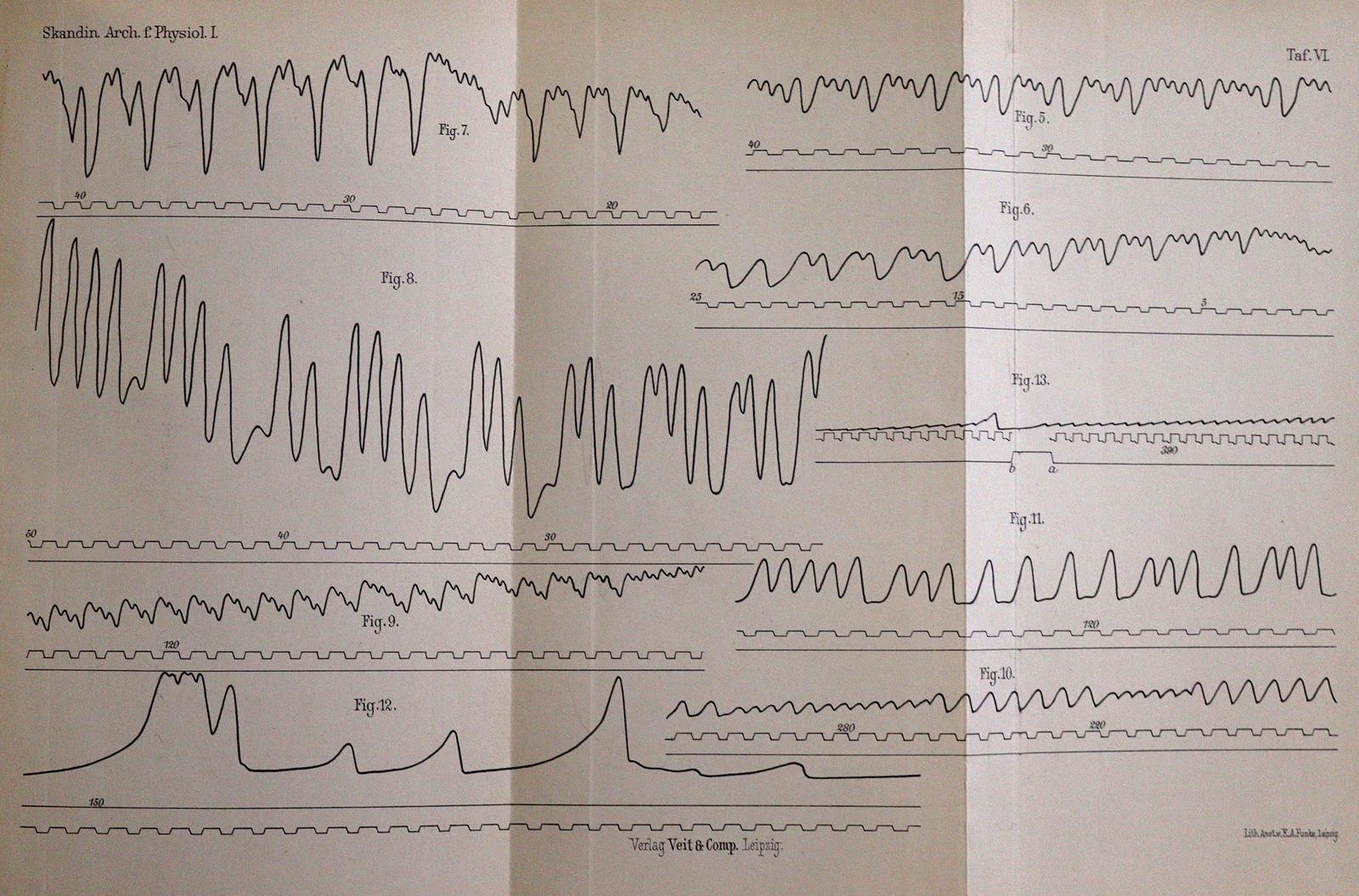 Sammlung | Bild Nr.3