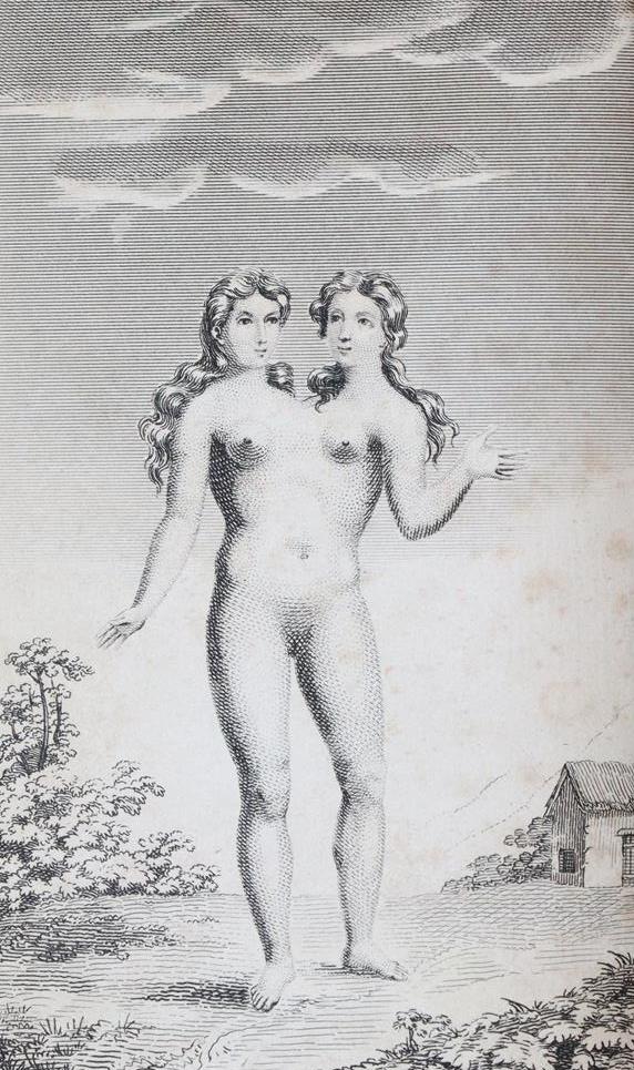 Sharp,S. | Bild Nr.2