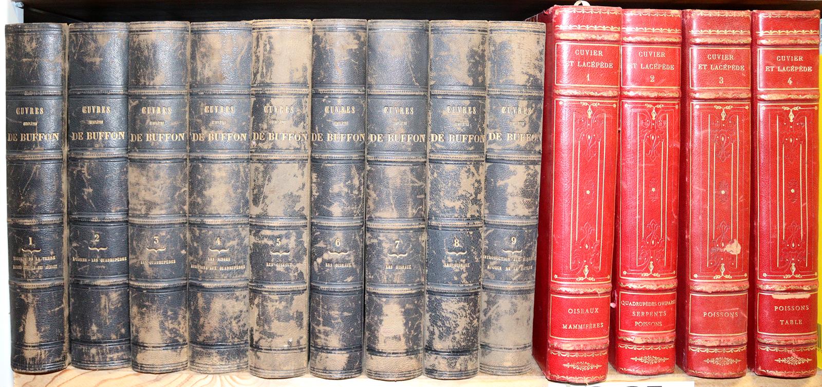 Buffon,(G.L.L.de). | Bild Nr.4