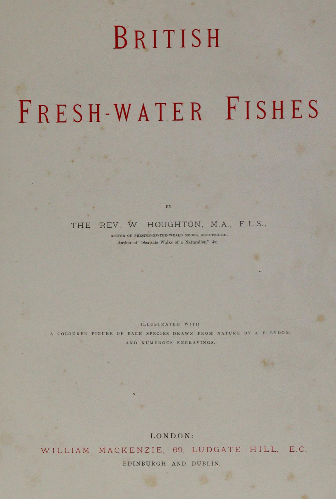 Houghton,W. | Bild Nr.3