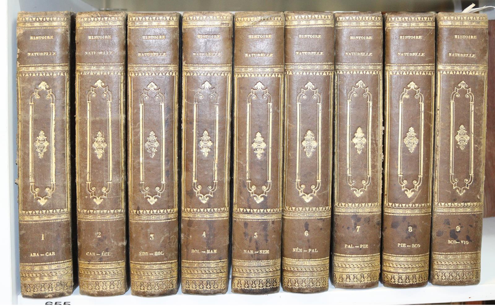 Guerin,F.L. | Bild Nr.9