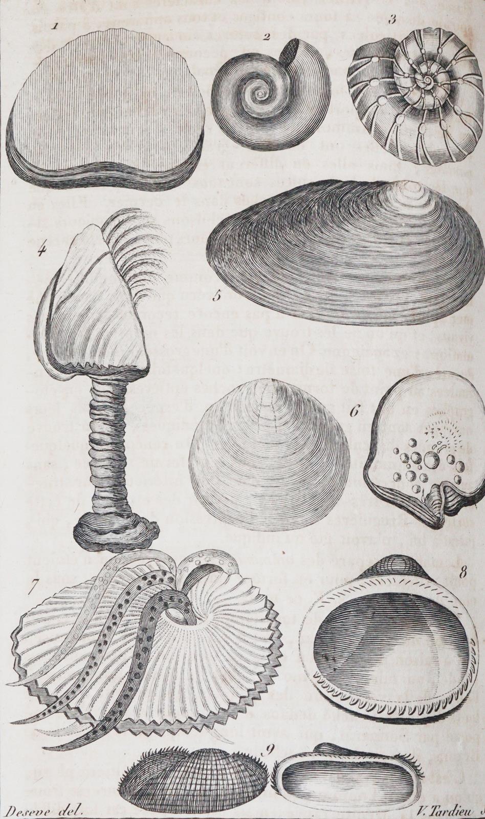 Nouveau dictionnaire d