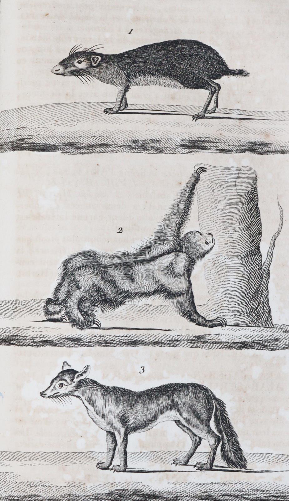 Nouveau dictionnaire d