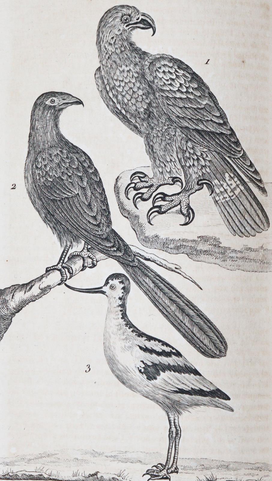 Nouveau dictionnaire d