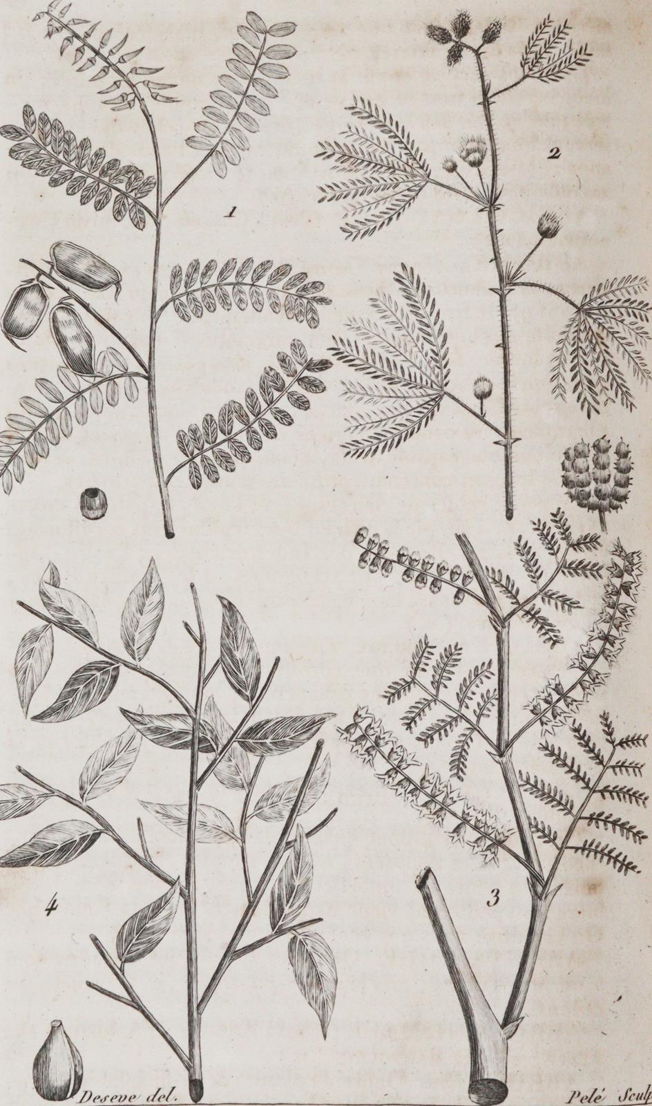 Nouveau dictionnaire d