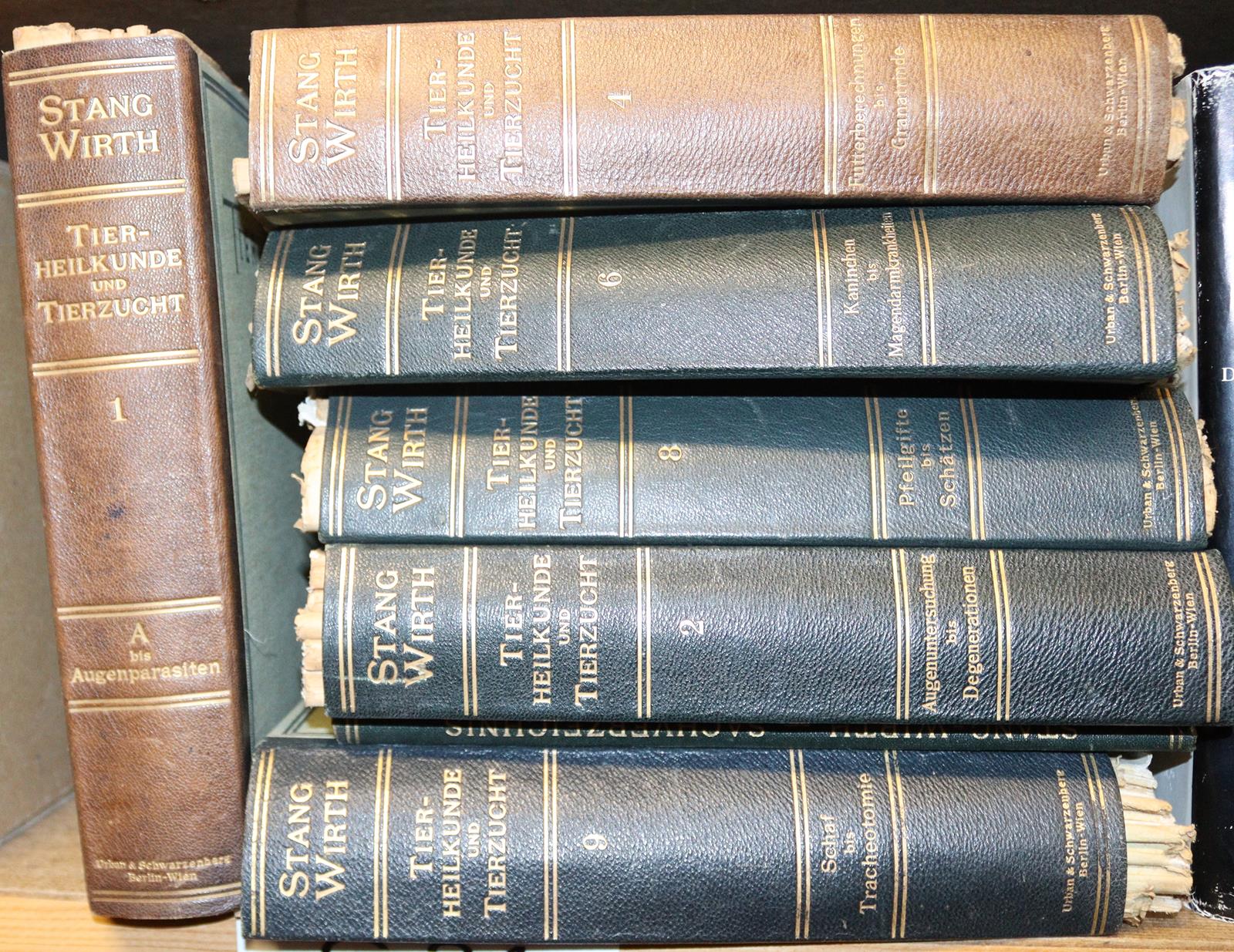 Stang, V. und D. Wirth (Hrsg.). | Bild Nr.2